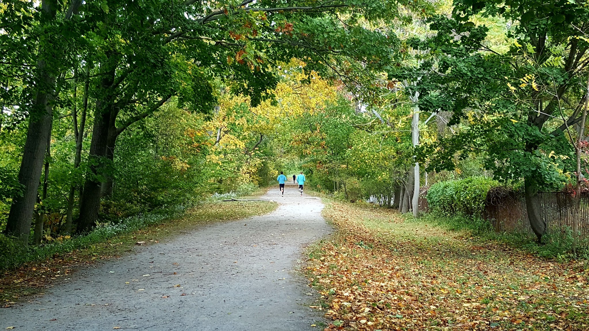 Memorial Park - Irvington, NY