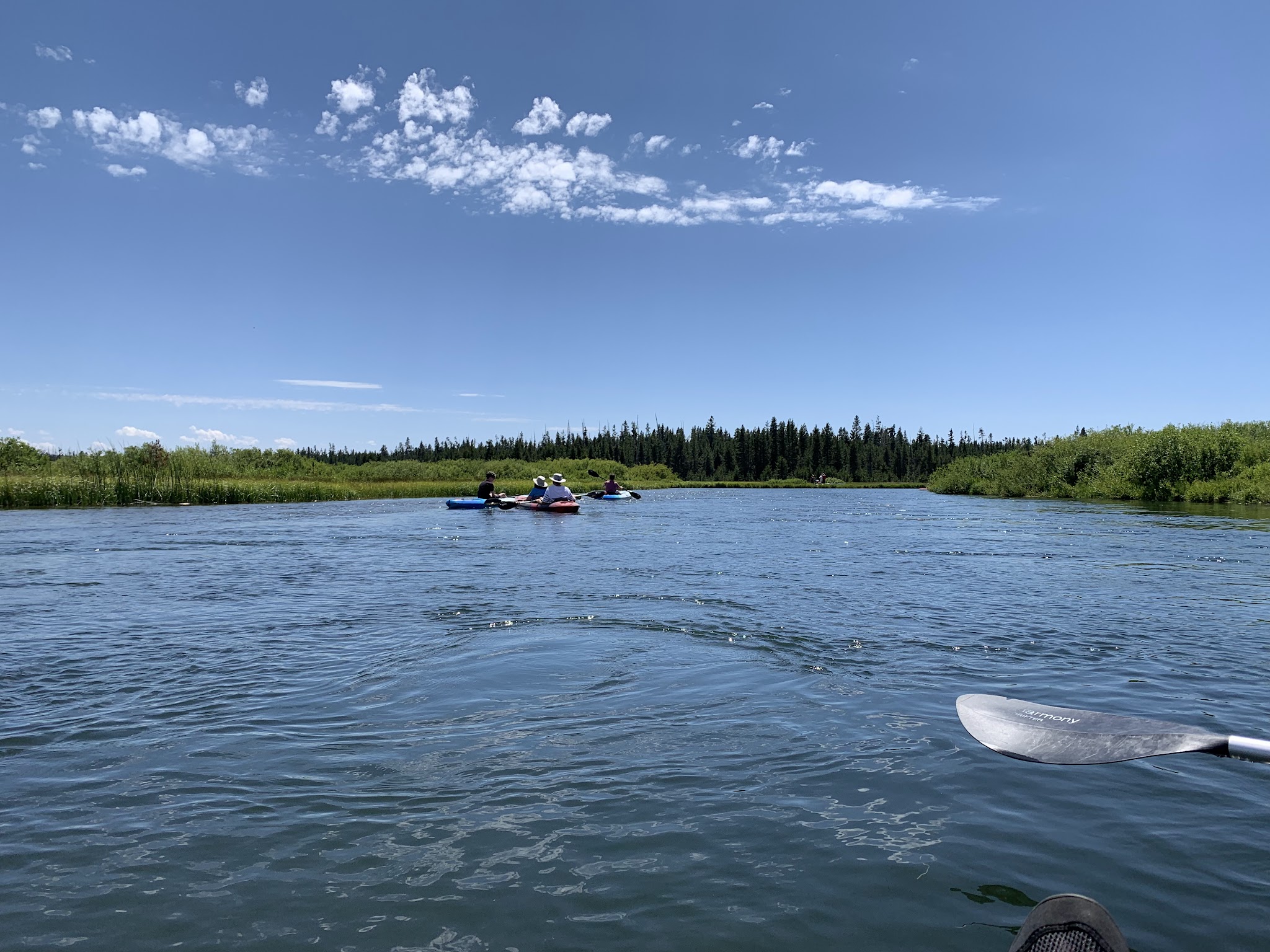 Big Springs Boating Launch - Island Park, ID