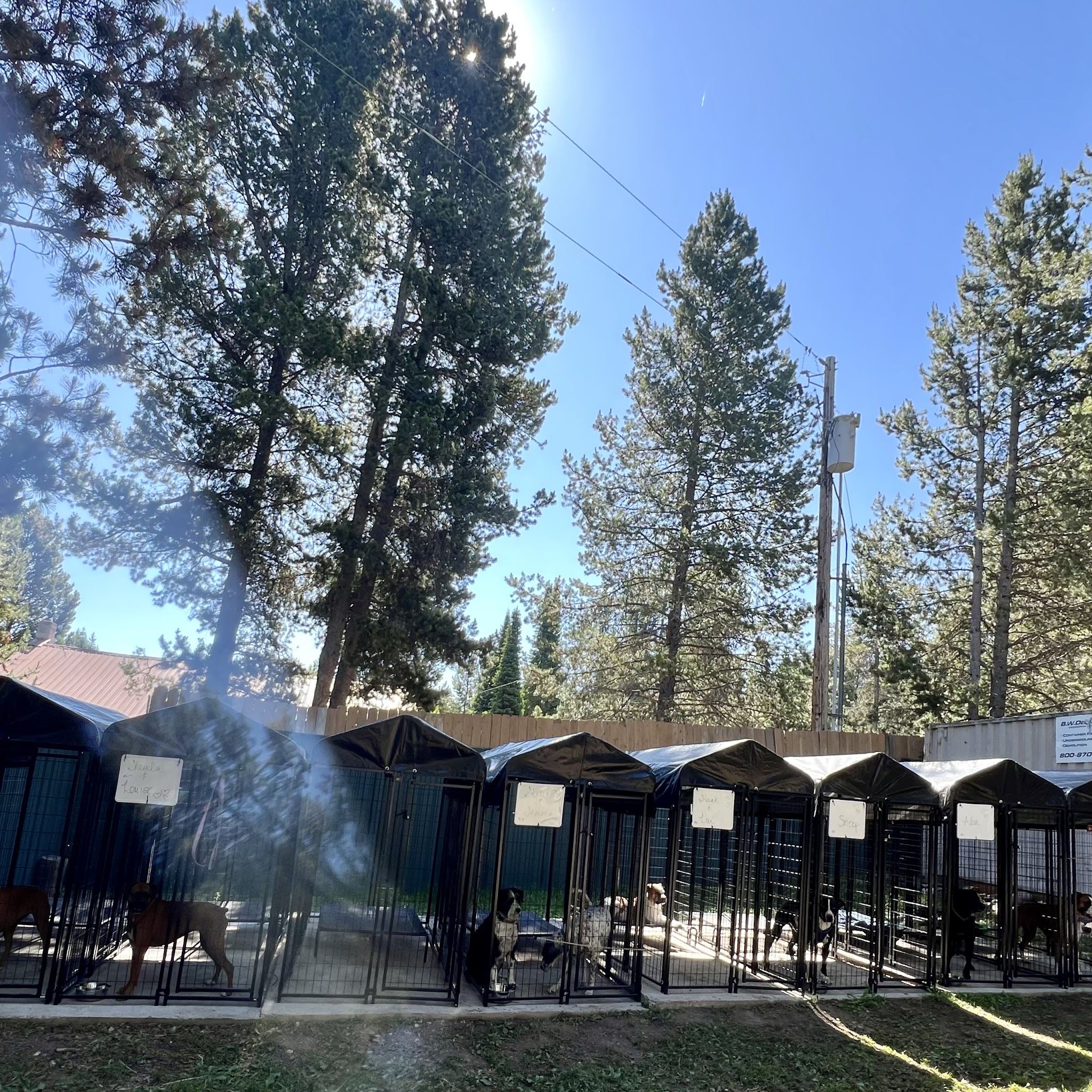 Spartacus Run Daycare (for dogs) - Island Park, ID