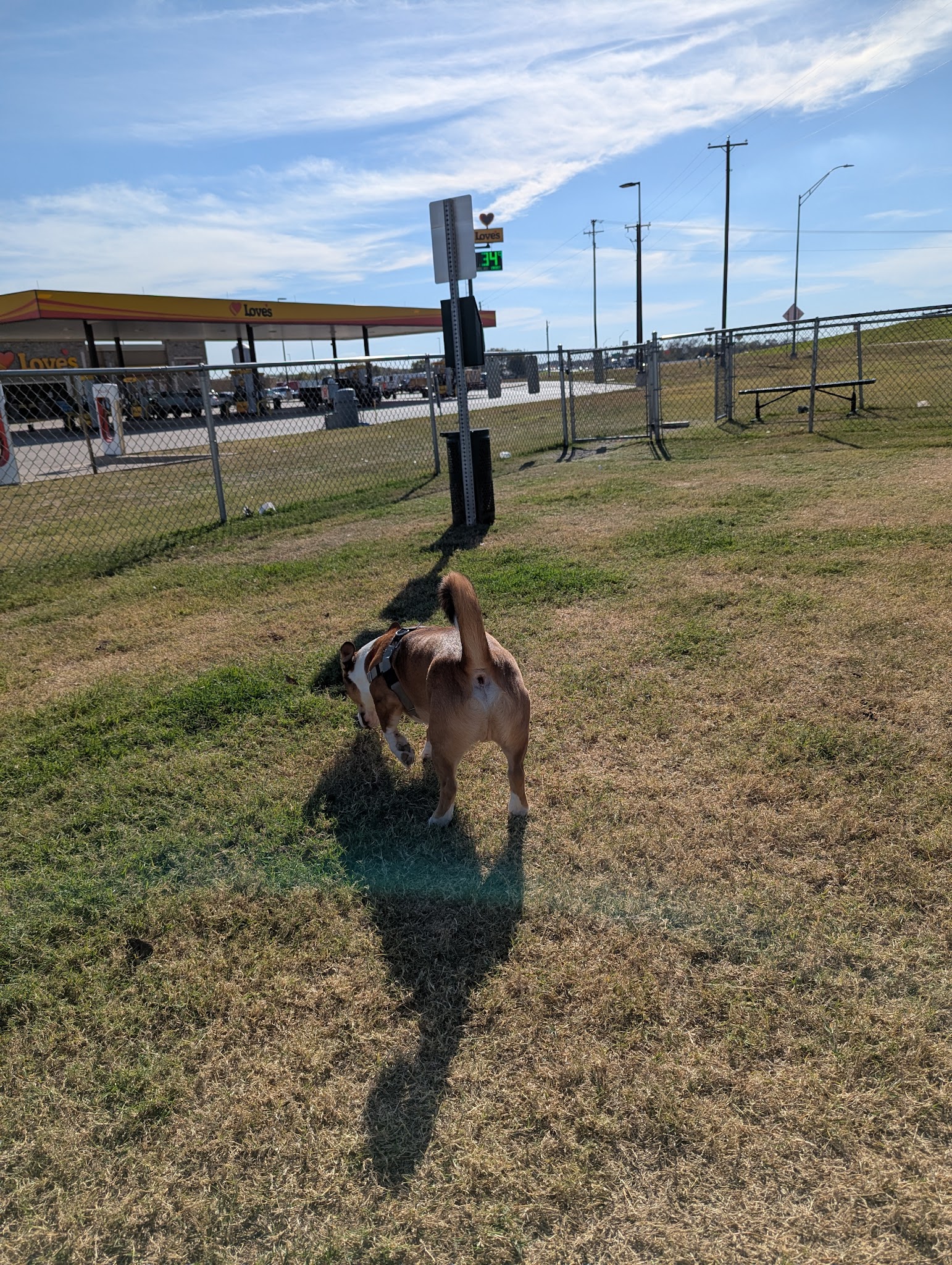 Dog Park at Love's Travel Stops - Italy, TX