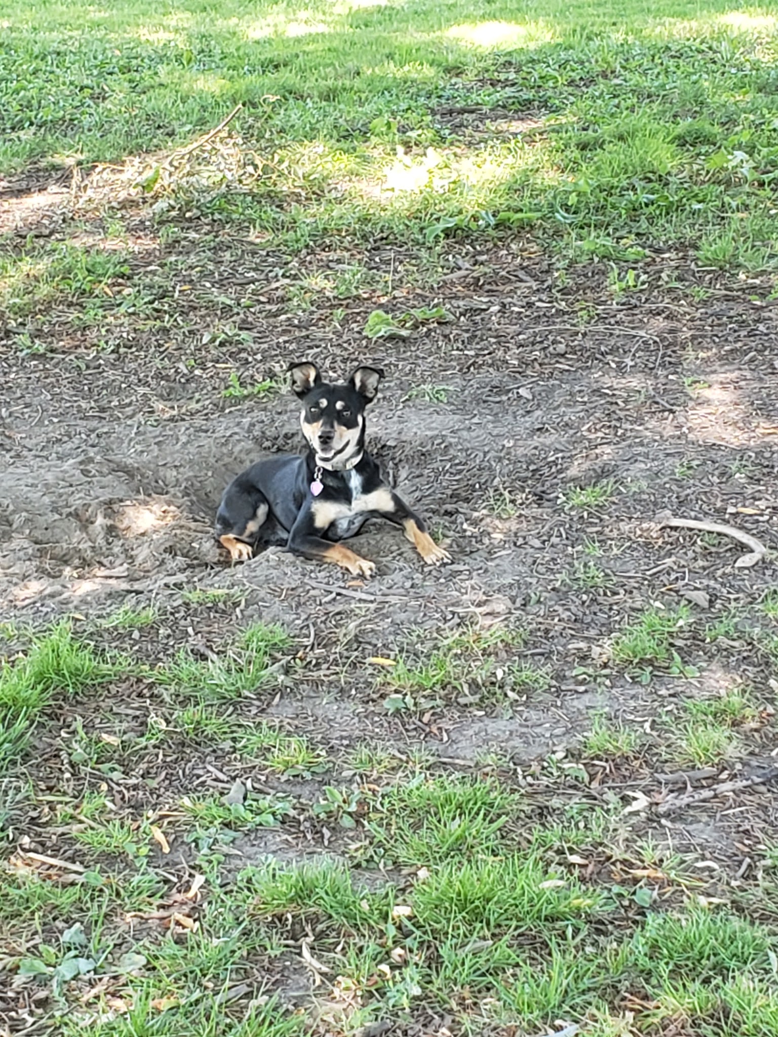 Ithaca Dog Park - Ithaca, NY