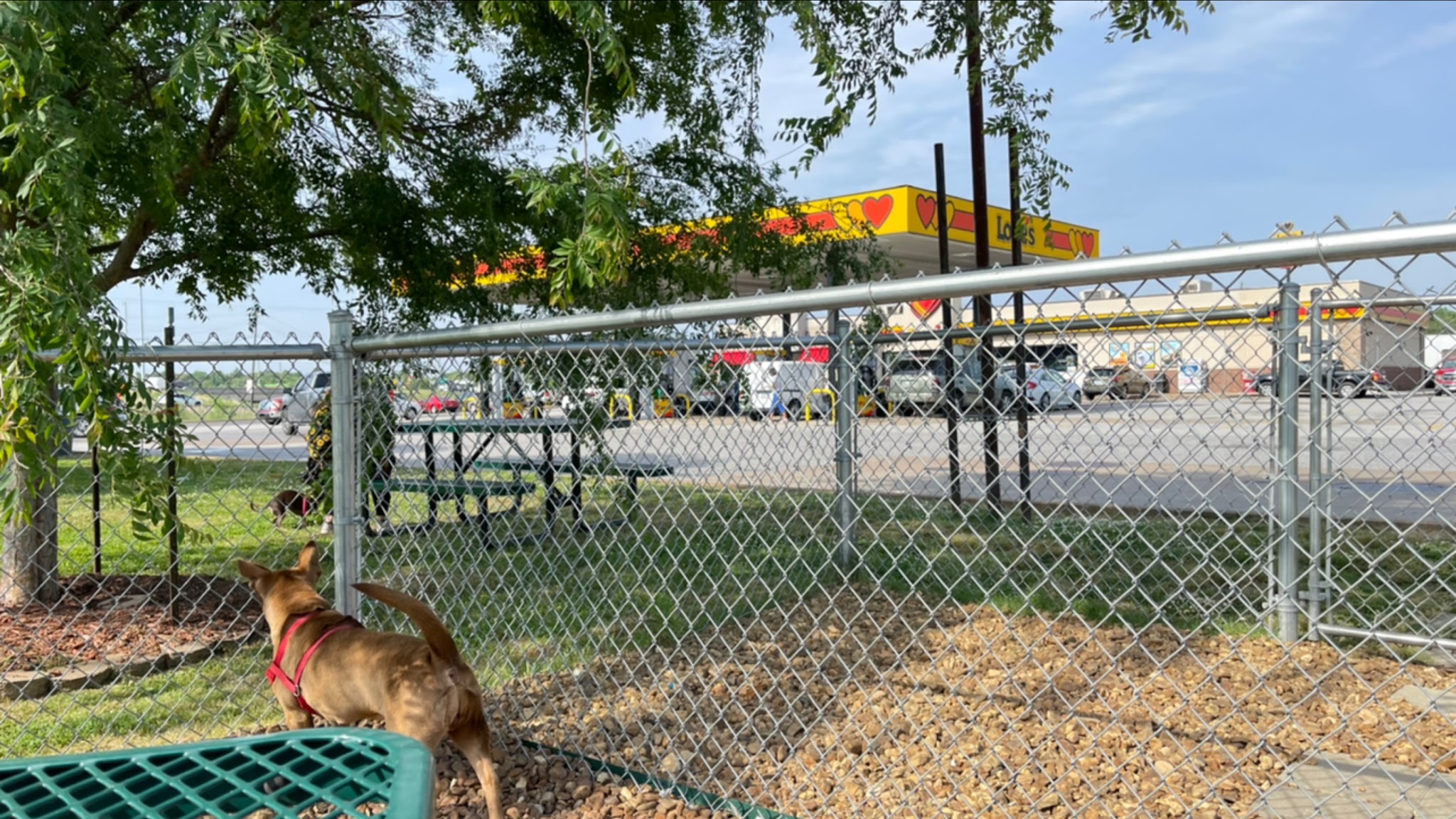 Dog Park at Love's Travel Stops - Jackson, TN