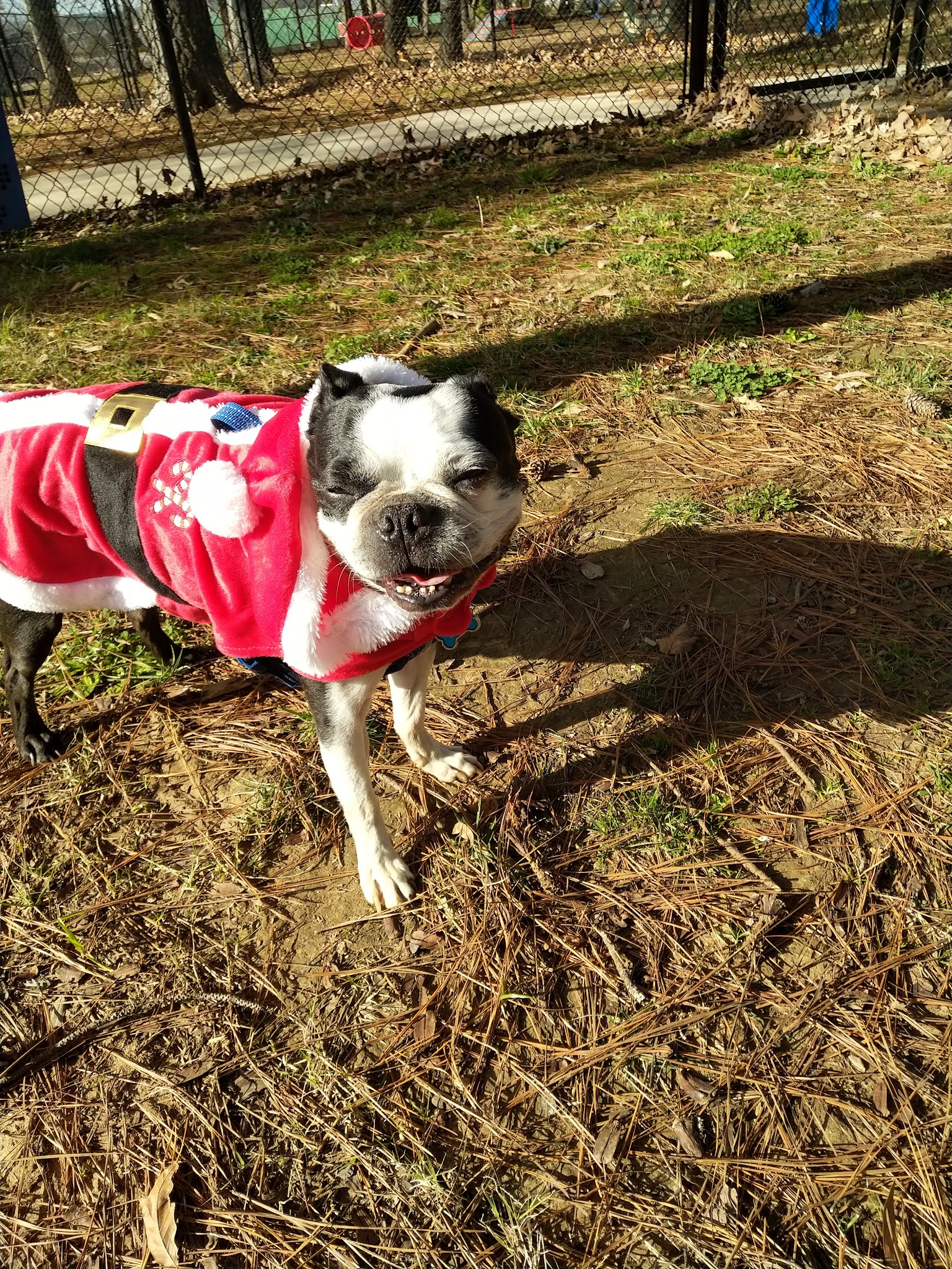 Dr. Vicki Schneider Lake Dog Park - Jackson, TN