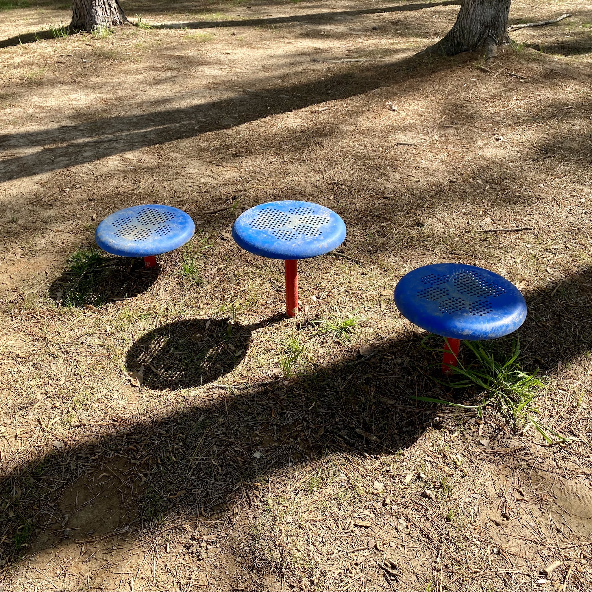 Dr. Vicki Schneider Lake Dog Park - Jackson, TN