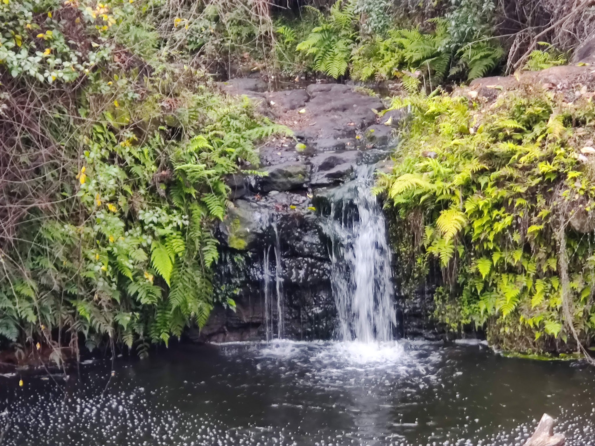 Bulls Bay Preserve - Jacksonville, FL