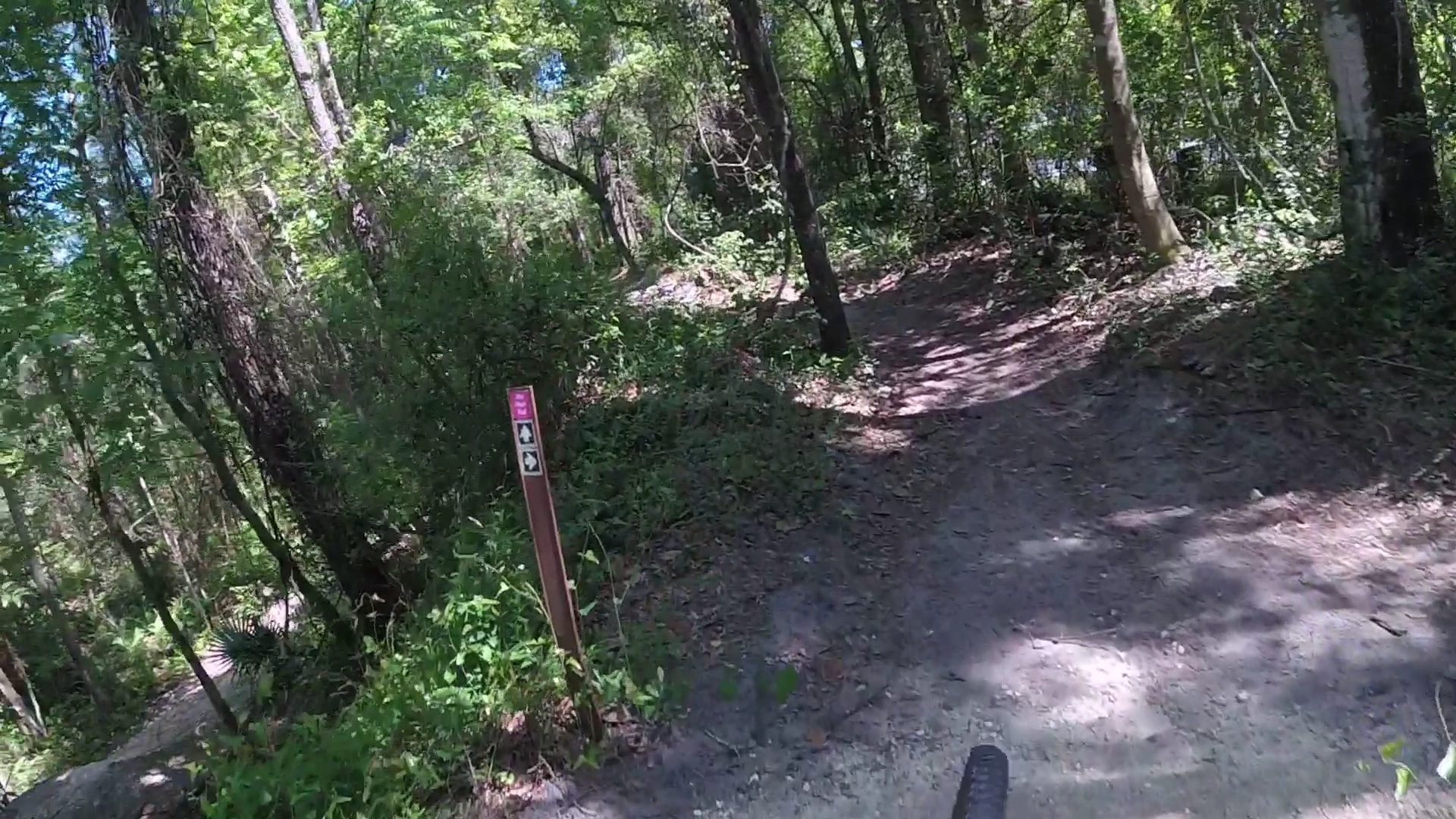 Bulls Bay Preserve - Jacksonville, FL