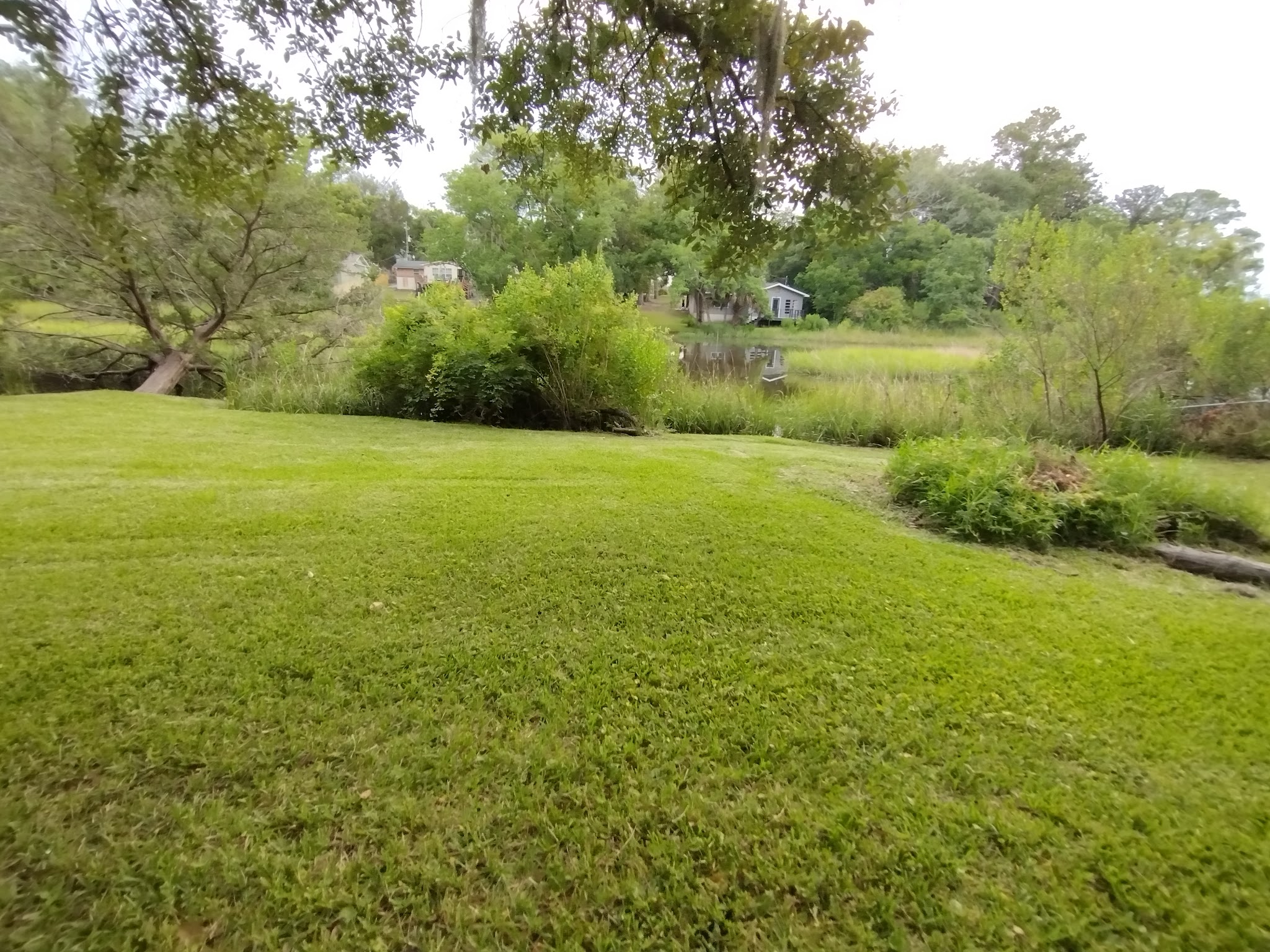 Creekside Canines - Jacksonville, FL