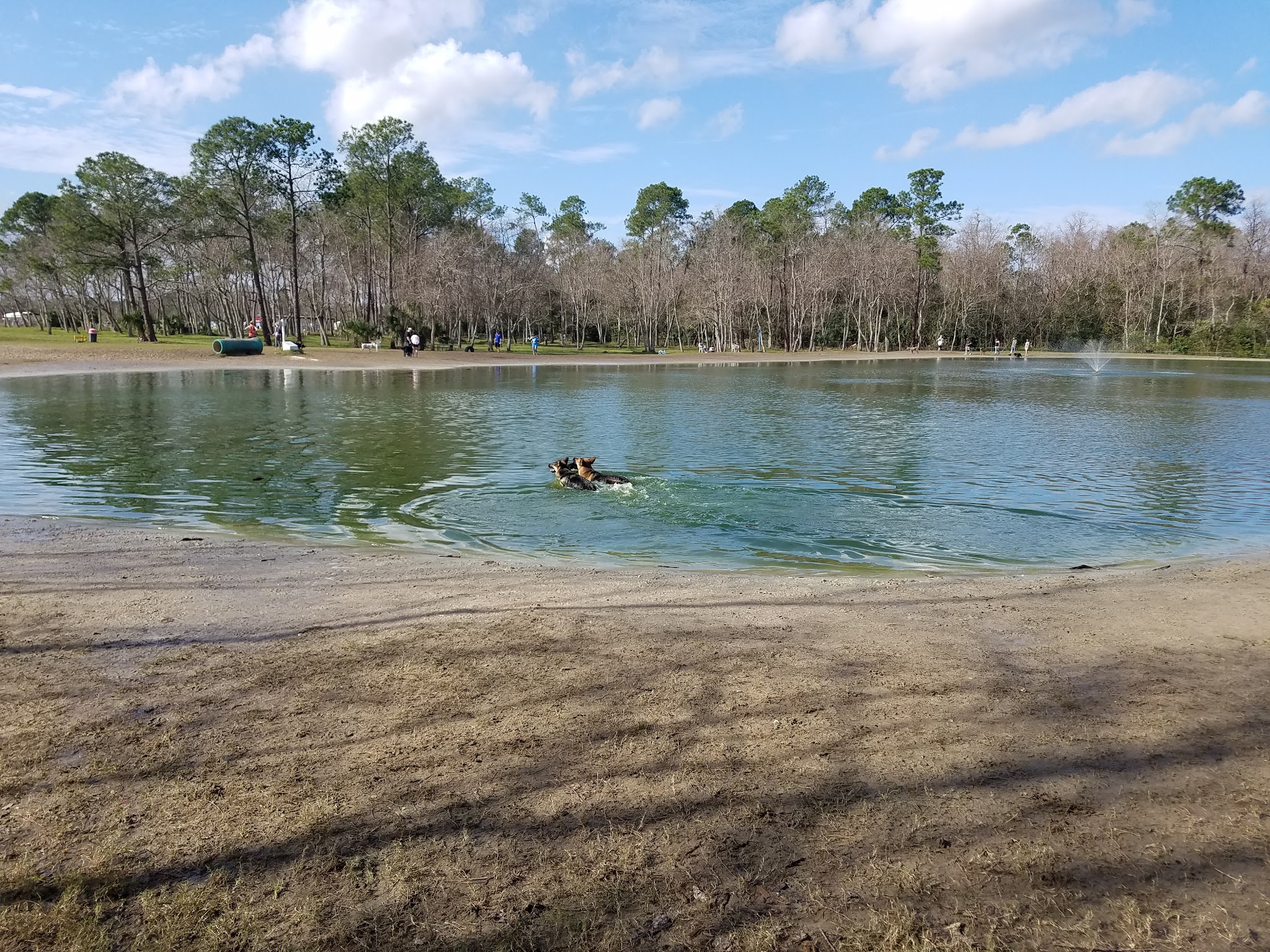 Dog Wood Park of Jacksonville - Jacksonville, FL