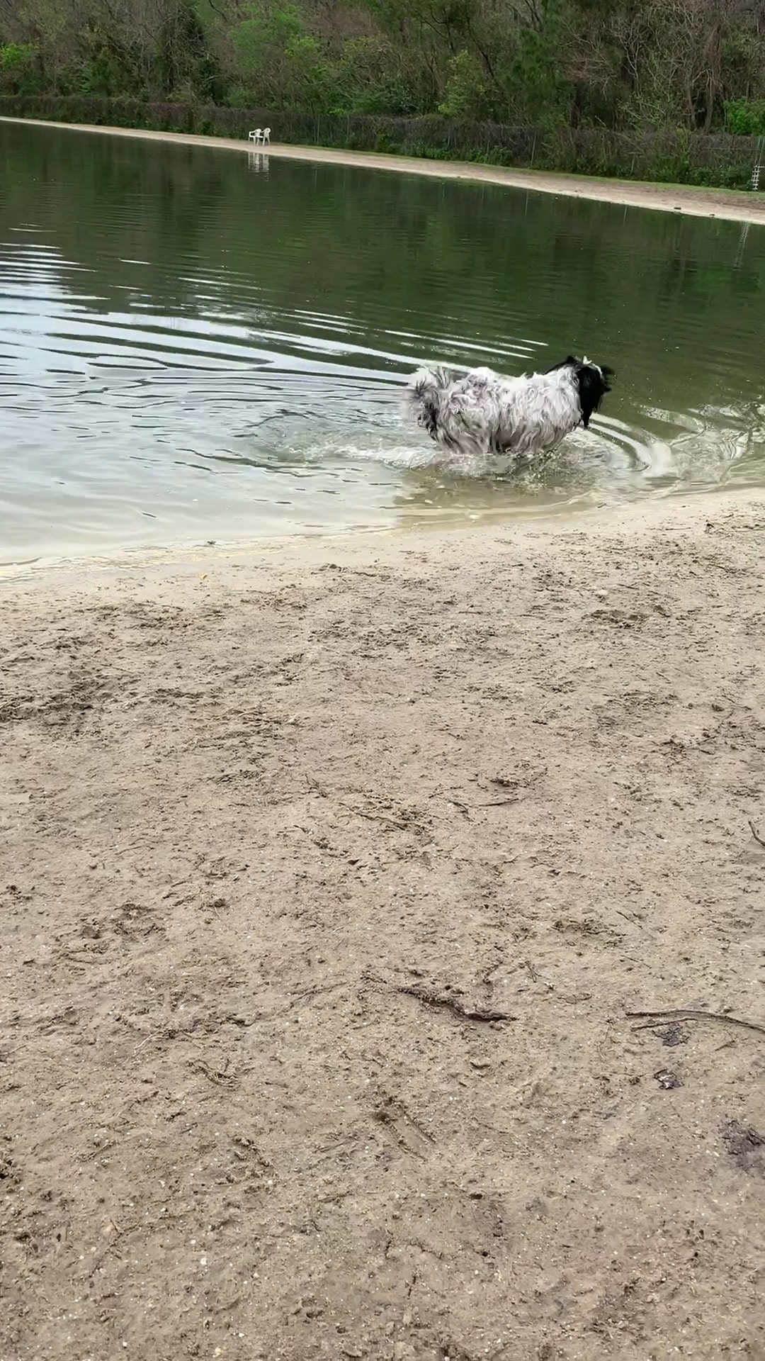 Dog Wood Park of Jacksonville - Jacksonville, FL