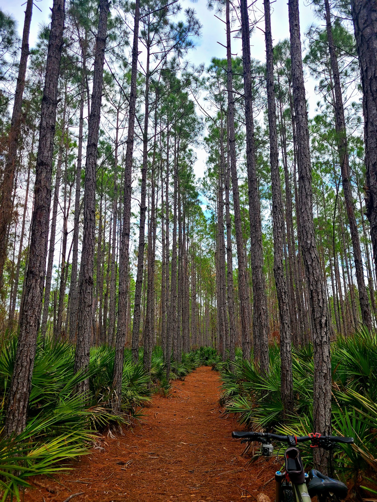 Edwards Creek Trailhead - Jacksonville, FL