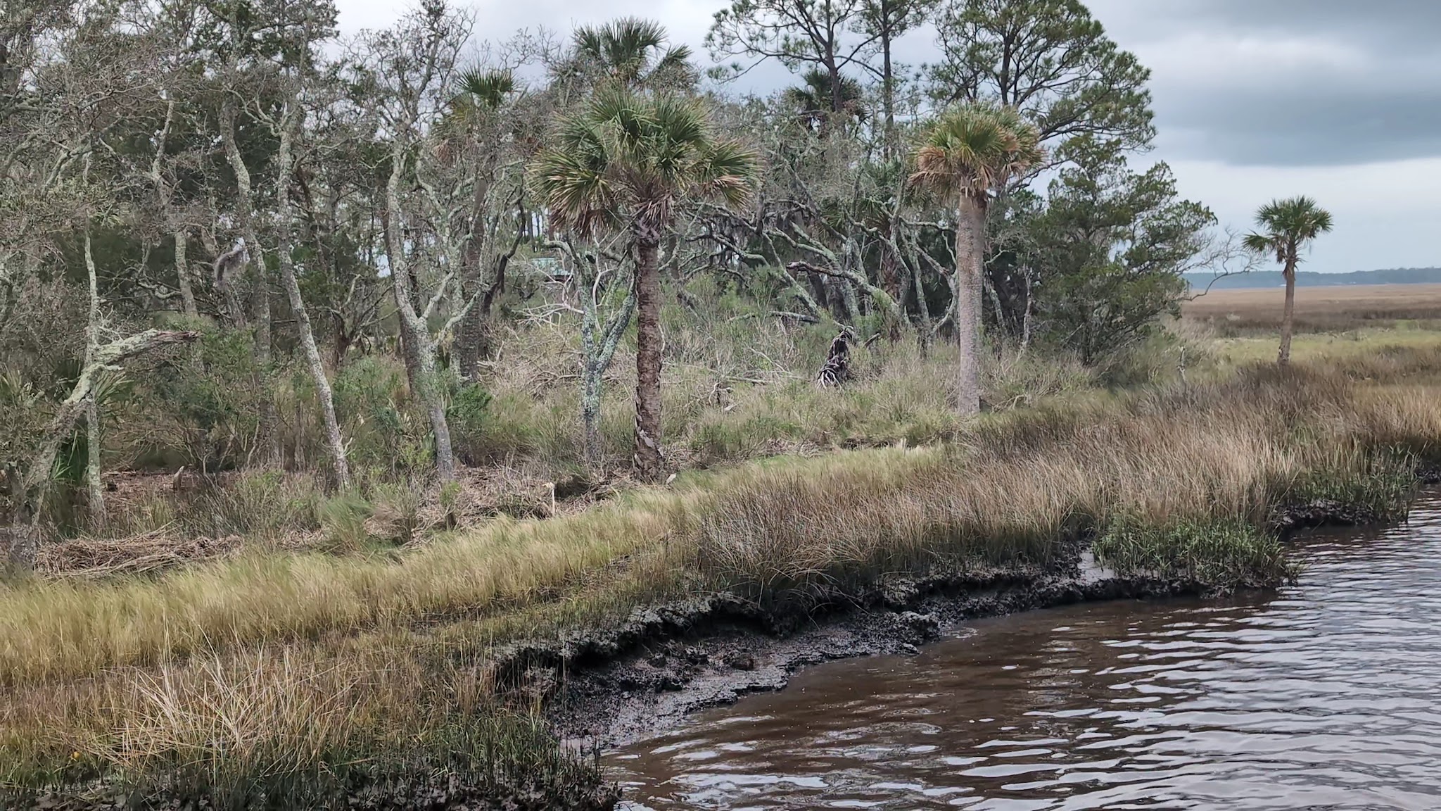Edwards Creek Trailhead - Jacksonville, FL