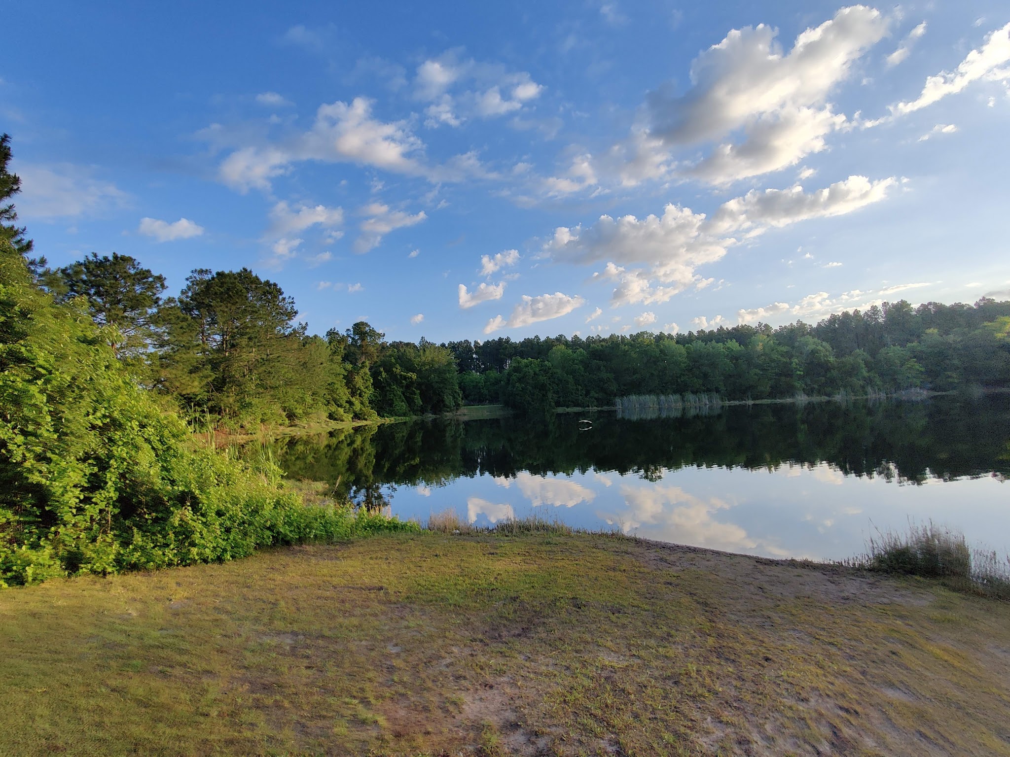Lea Loop Trailhead - Jacksonville, FL