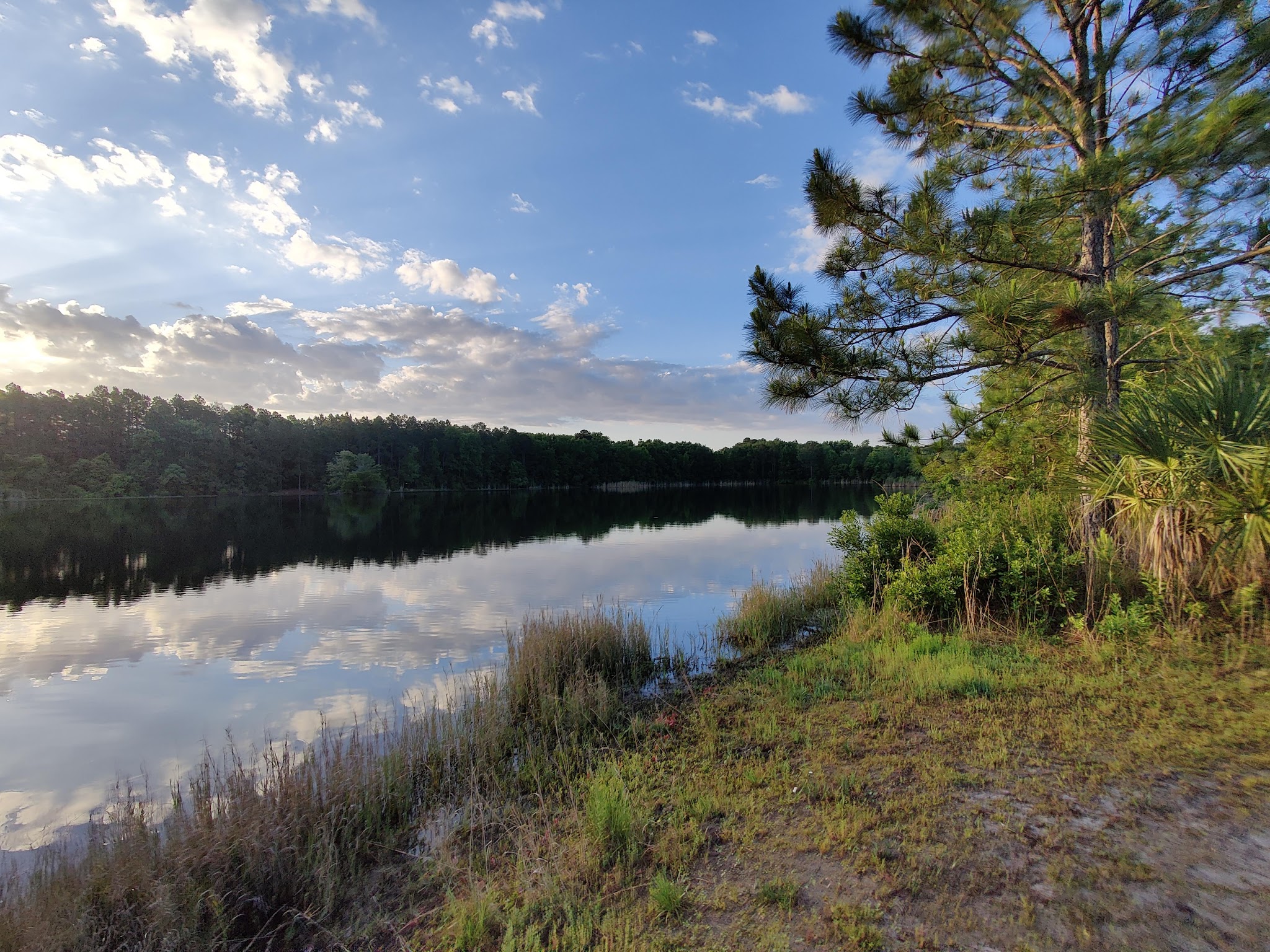 Lea Loop Trailhead - Jacksonville, FL