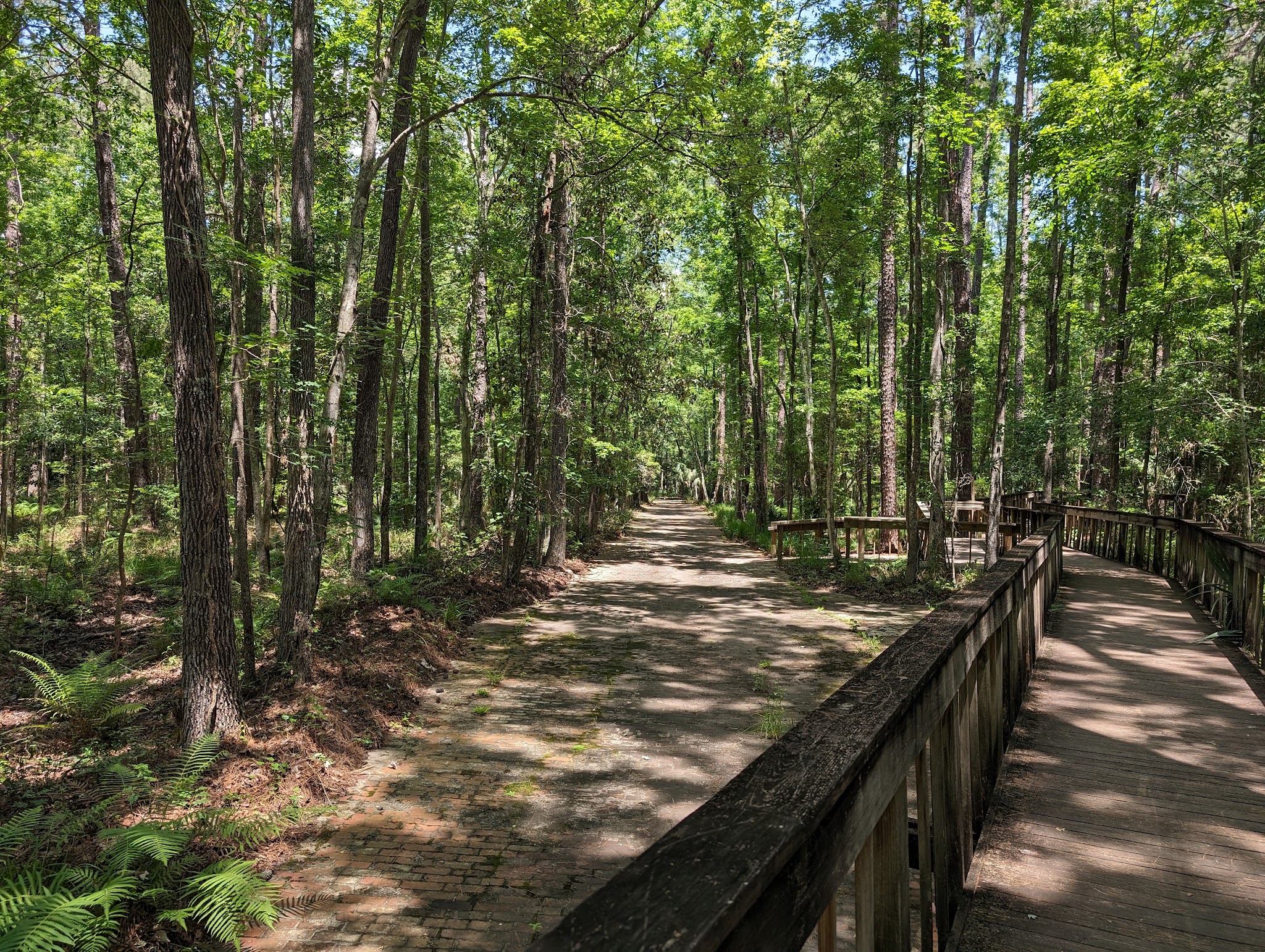Tillie Fowler Park Loop Trailhead - Jacksonville, FL