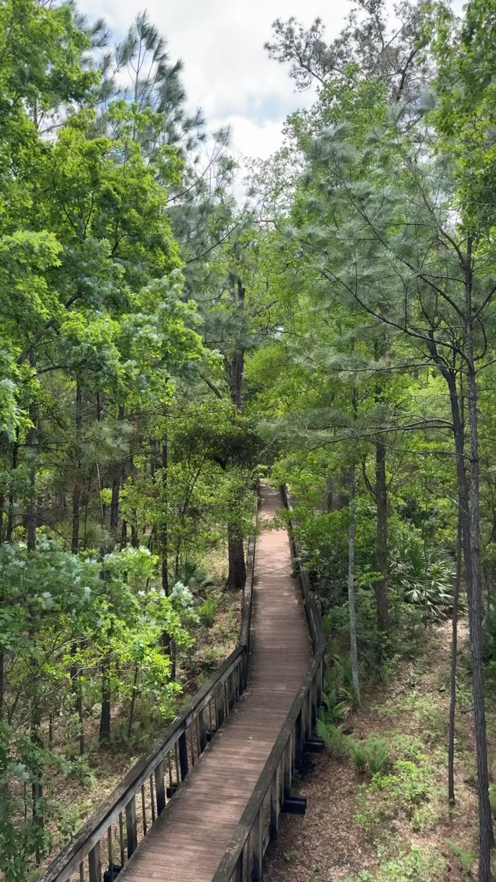 Tillie Fowler Park Loop Trailhead - Jacksonville, FL