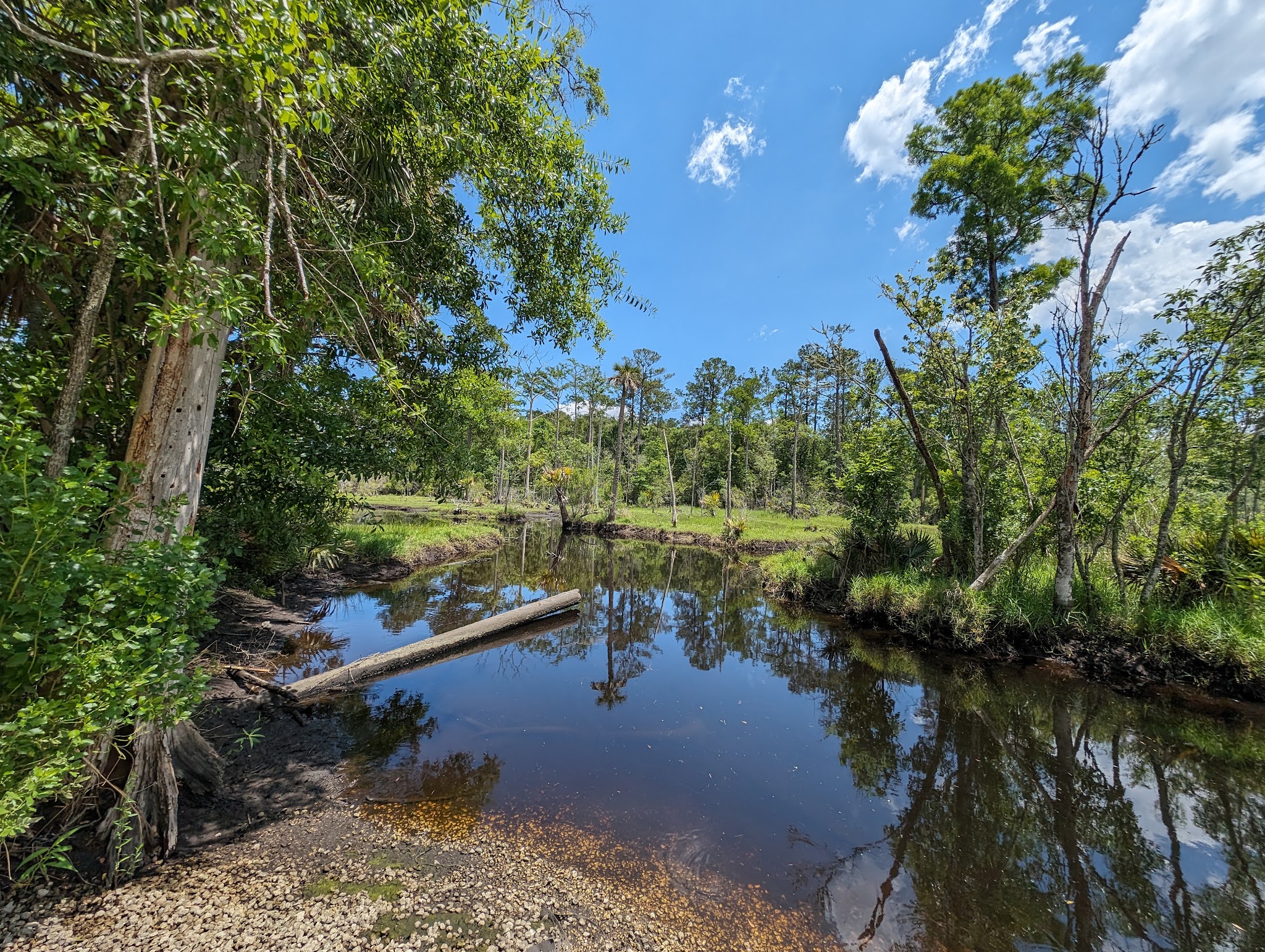 Tillie Fowler Park Loop Trailhead - Jacksonville, FL