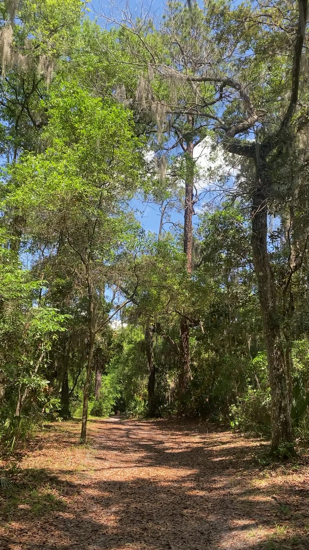 Timucuan Preserve parking for trails - Jacksonville, FL