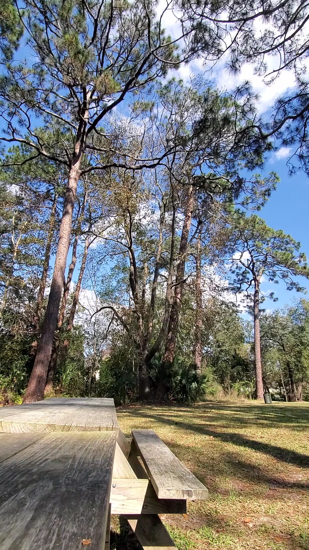 Verona Park - Jacksonville, FL