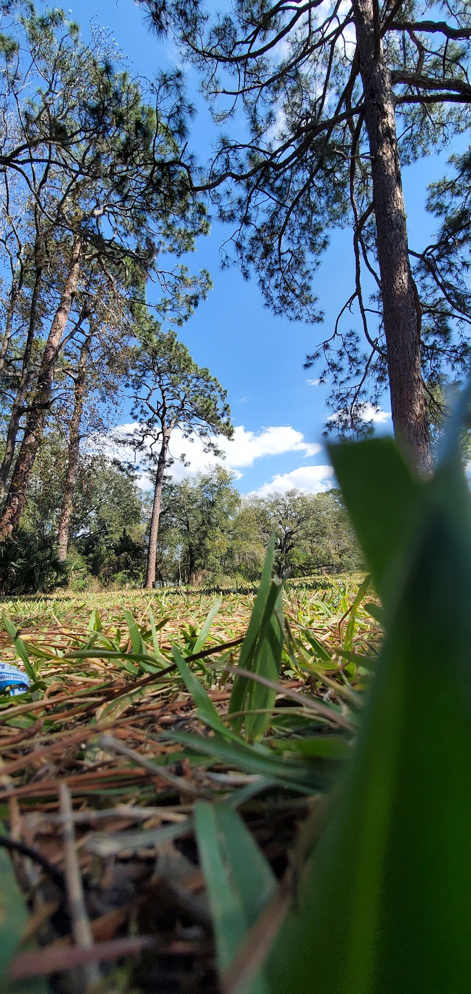 Verona Park - Jacksonville, FL