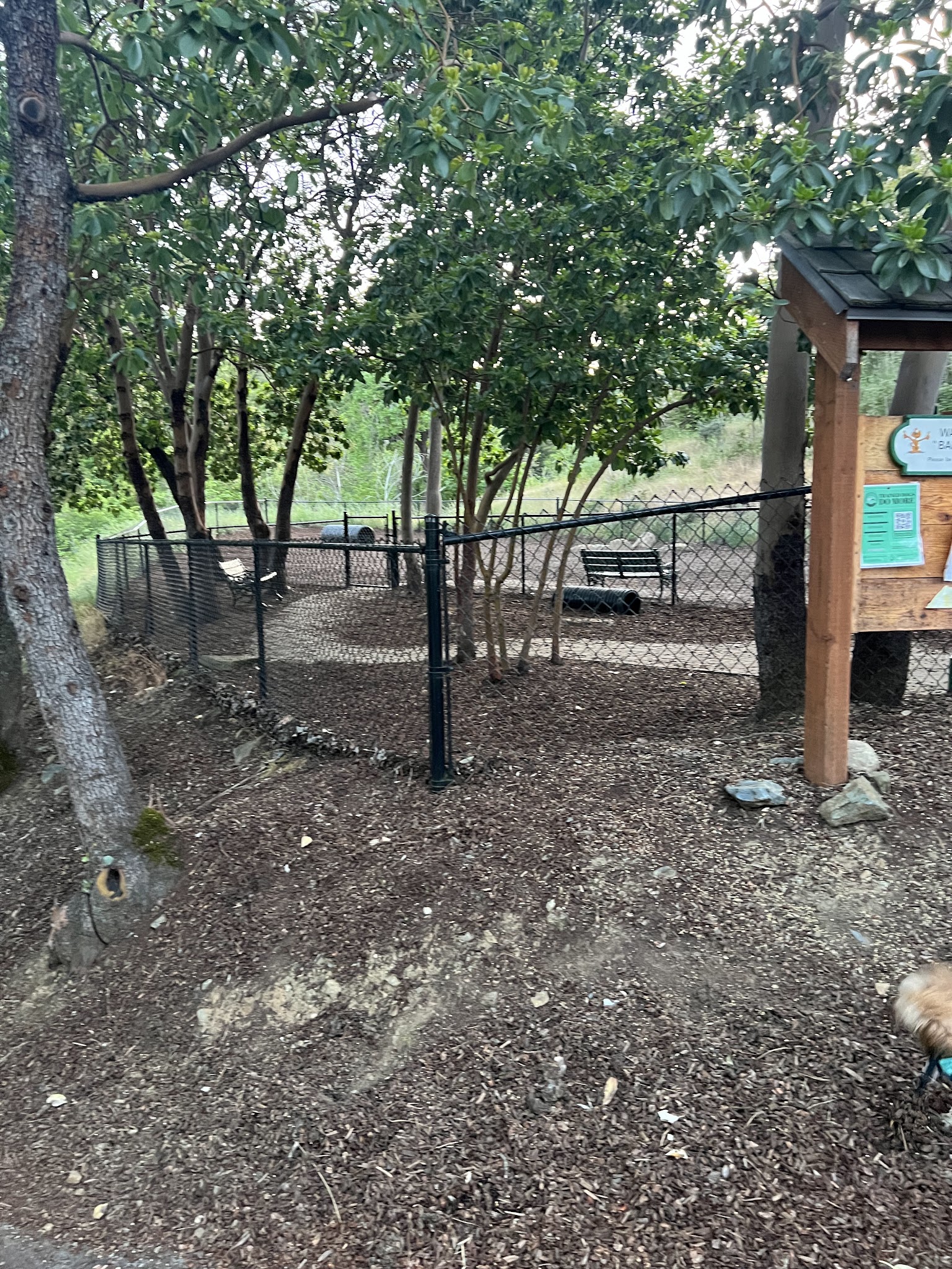 Jacksonville Dog Park - Jacksonville, OR
