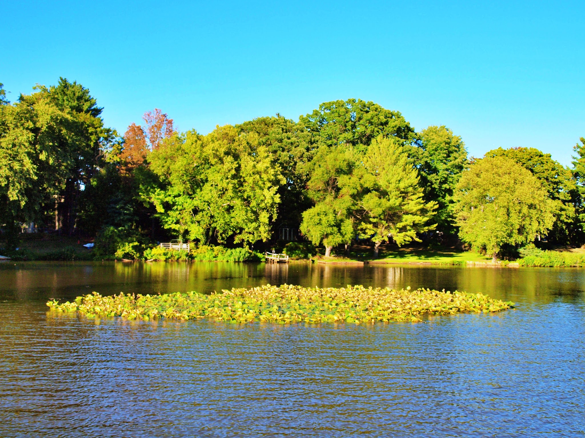 Thompson Park Monroe - Jamesburg, NJ