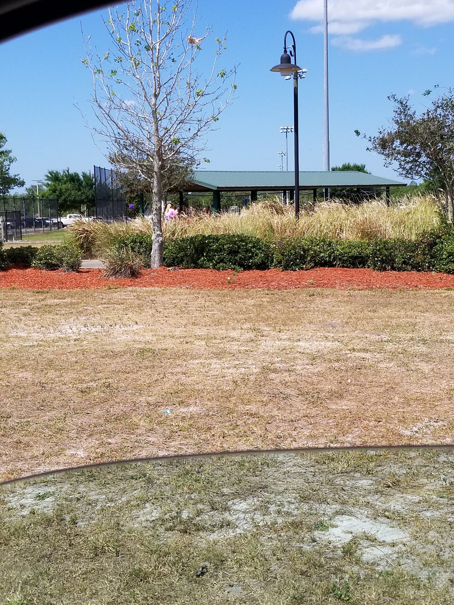 Simmers-Young (2nd entrance Dog Park) - Jan Phyl Village, FL