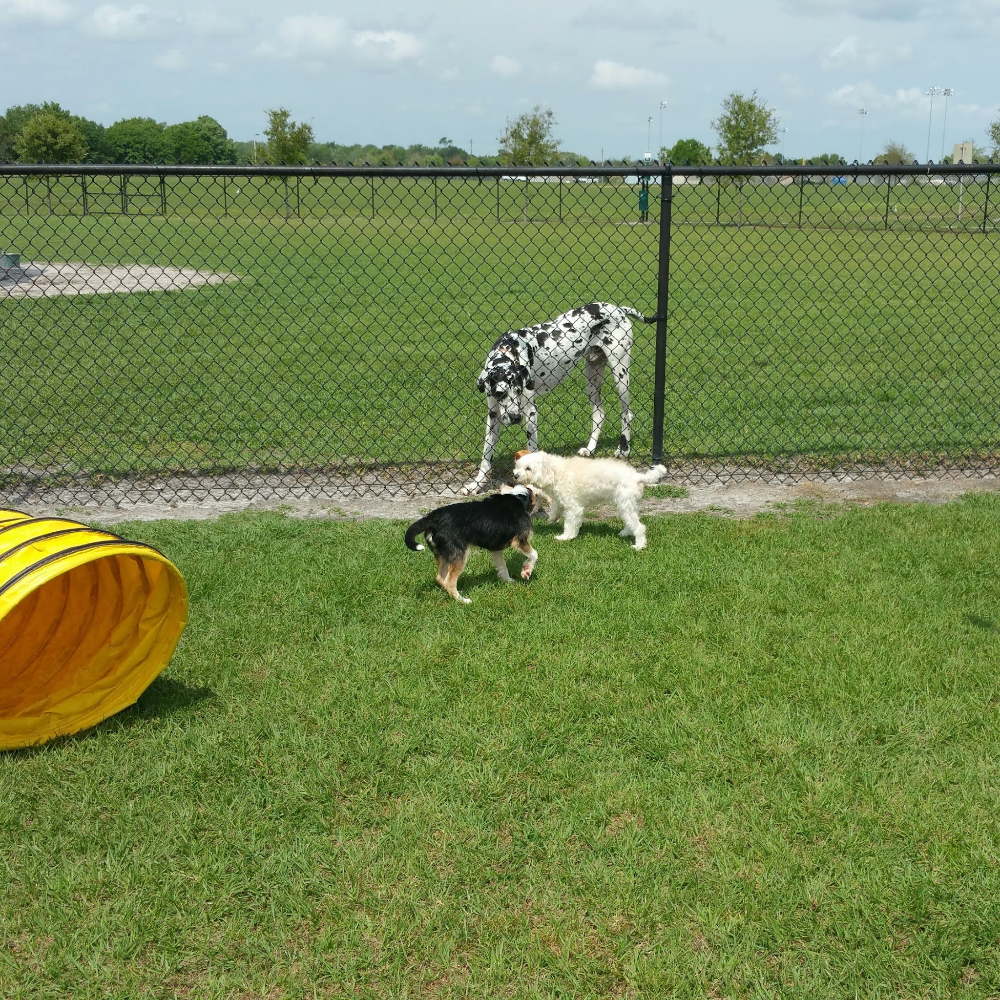 Simmers-Young (2nd entrance Dog Park) - Jan Phyl Village, FL