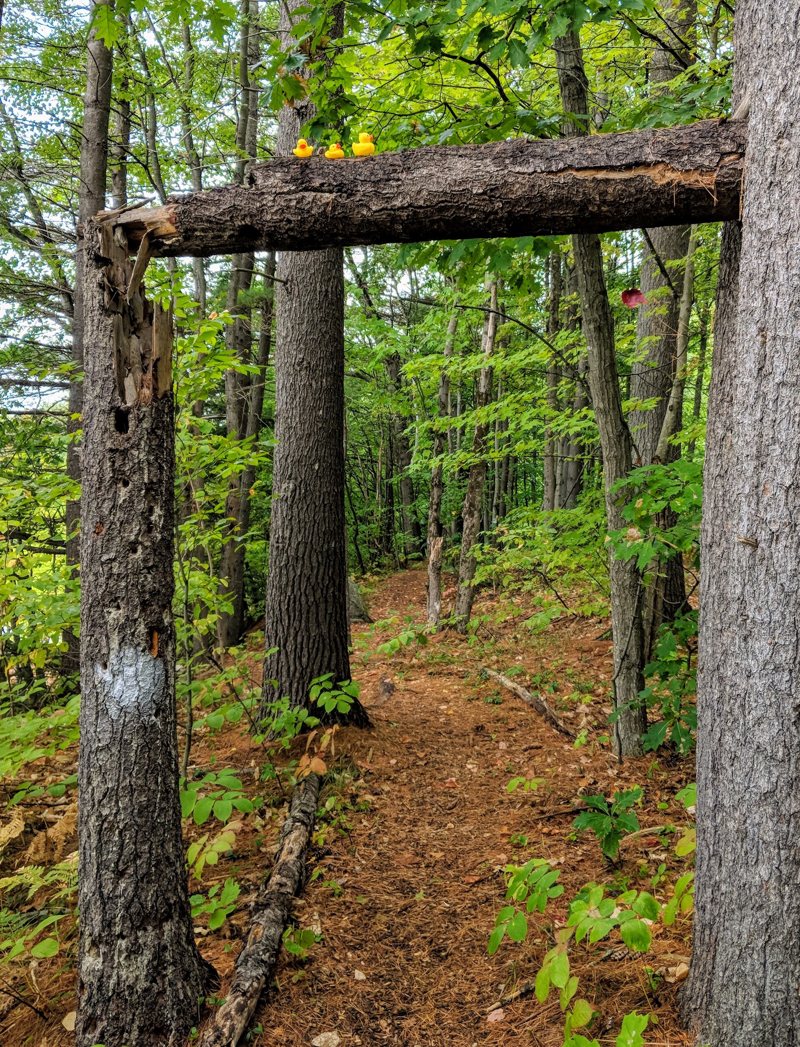 French Falls Recreation Area - Jay, ME