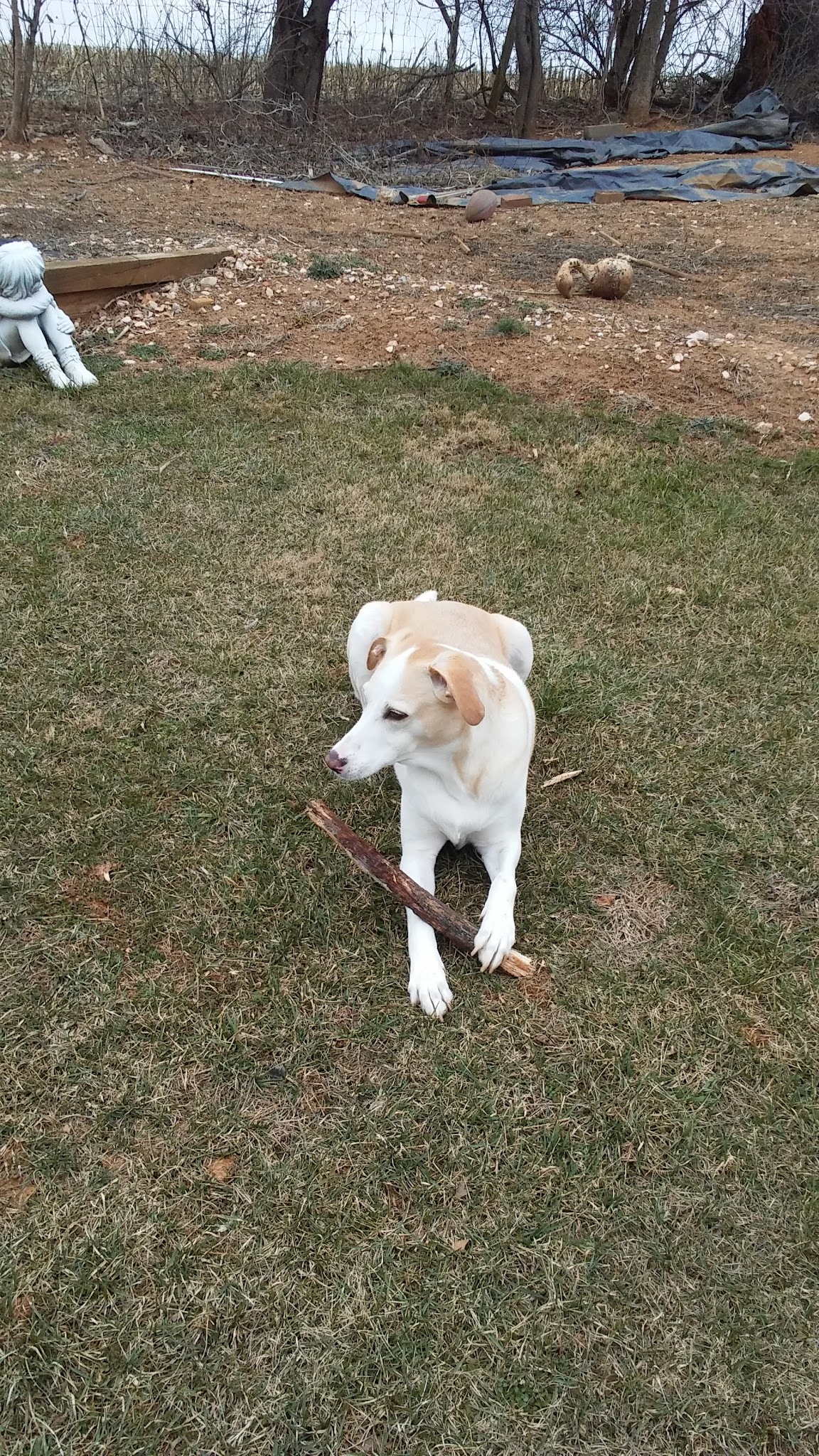 Cambridge Farms Park - Jefferson, MD