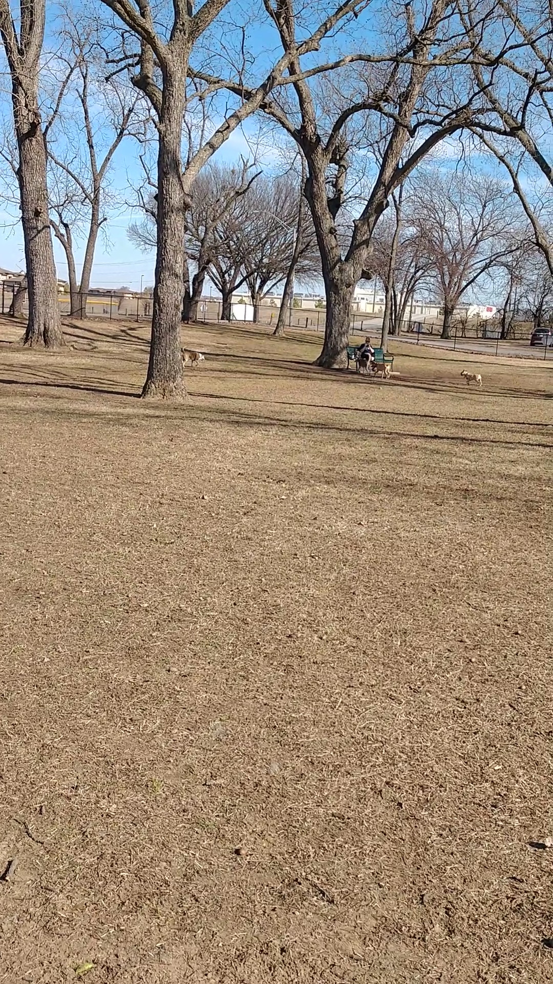 Bark West Dog Park - Jenks, OK