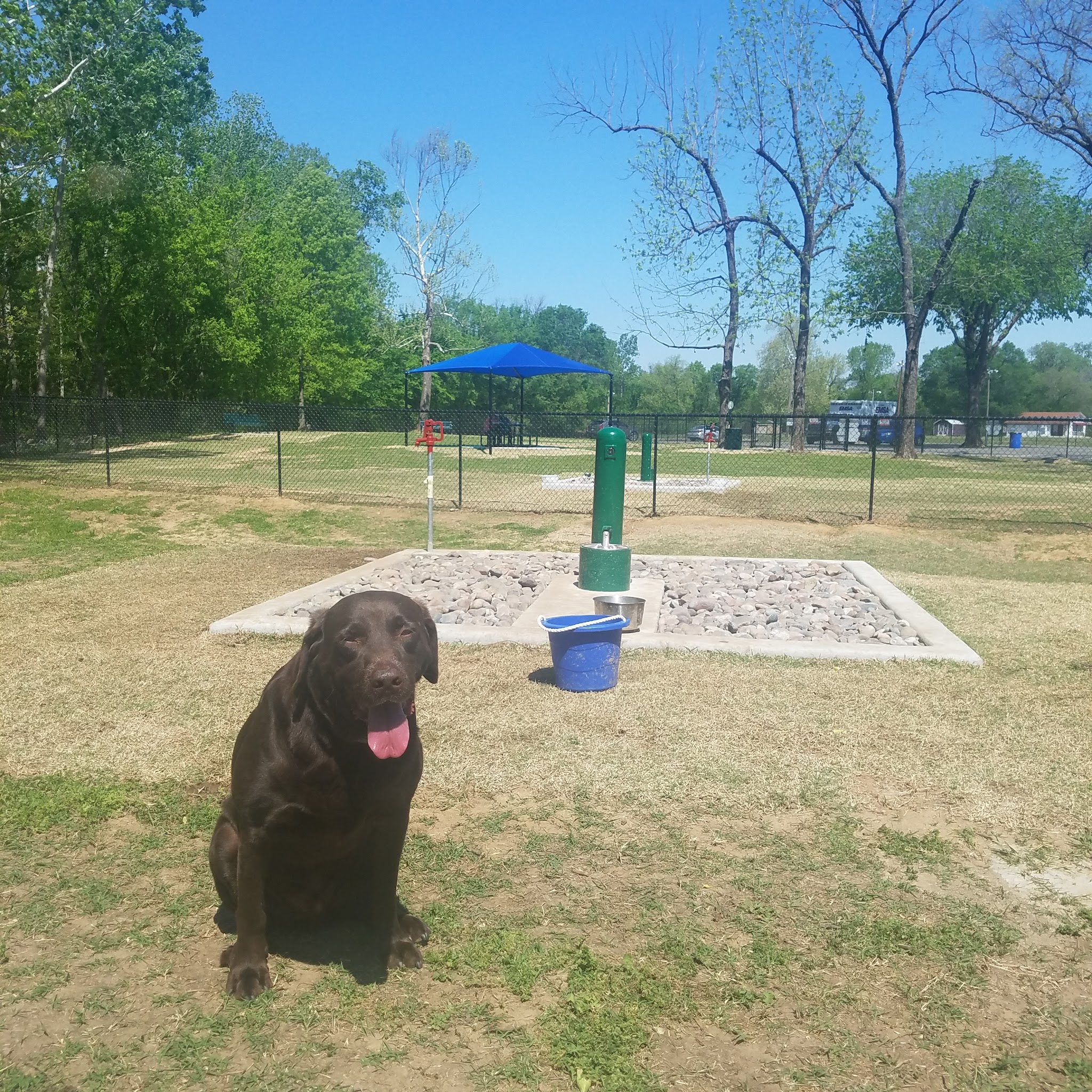 Dog Park - Jenks, OK