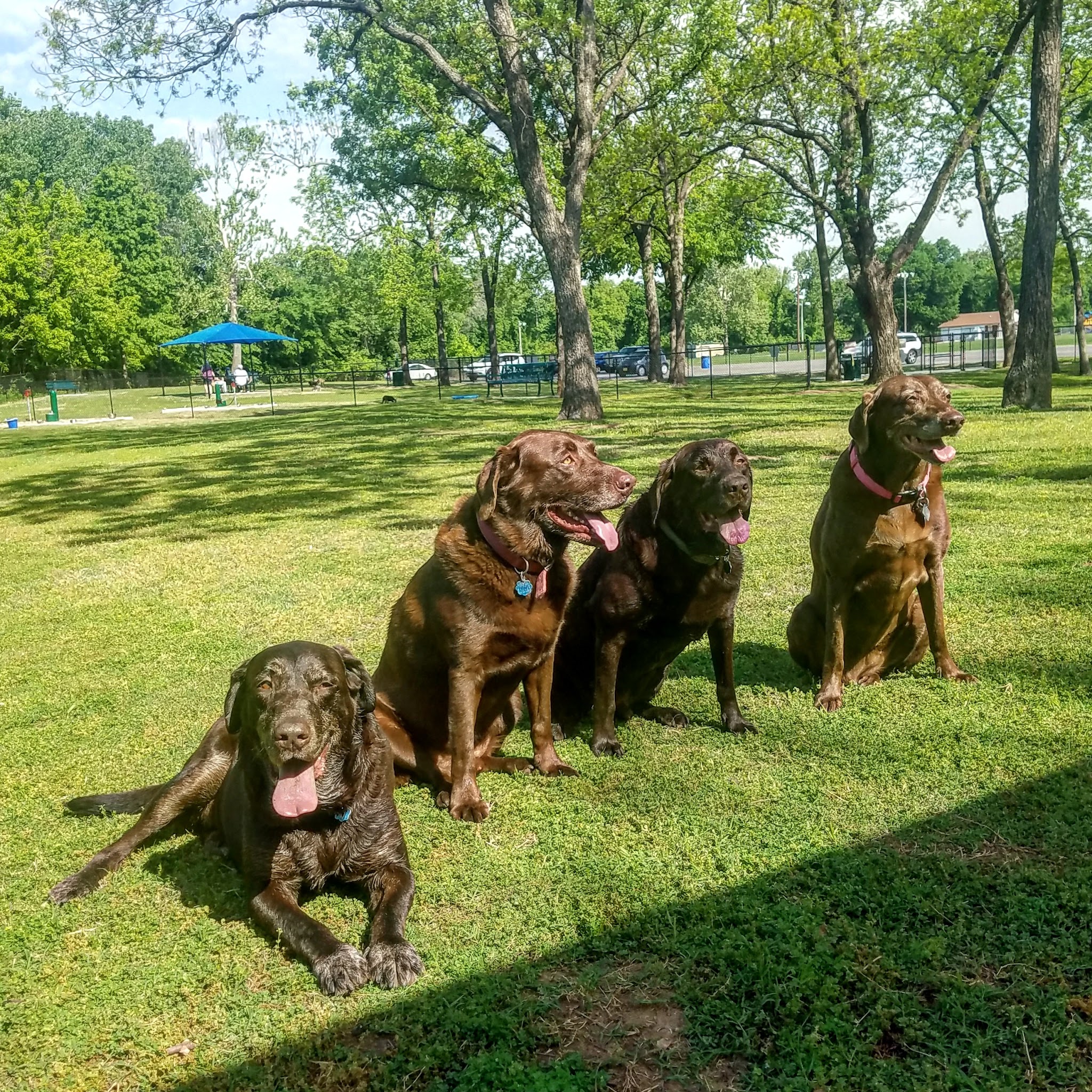 Dog Park - Jenks, OK