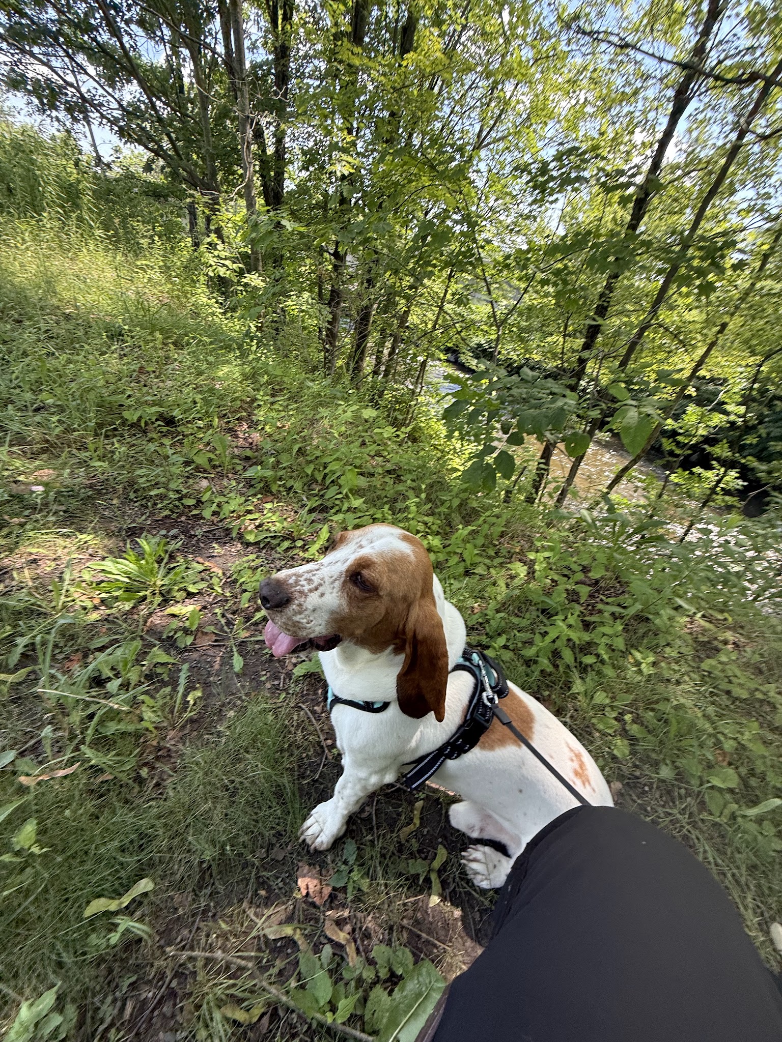 Lackawanna River Heritage Trail - Delaware Street Trailhead - Jermyn, PA