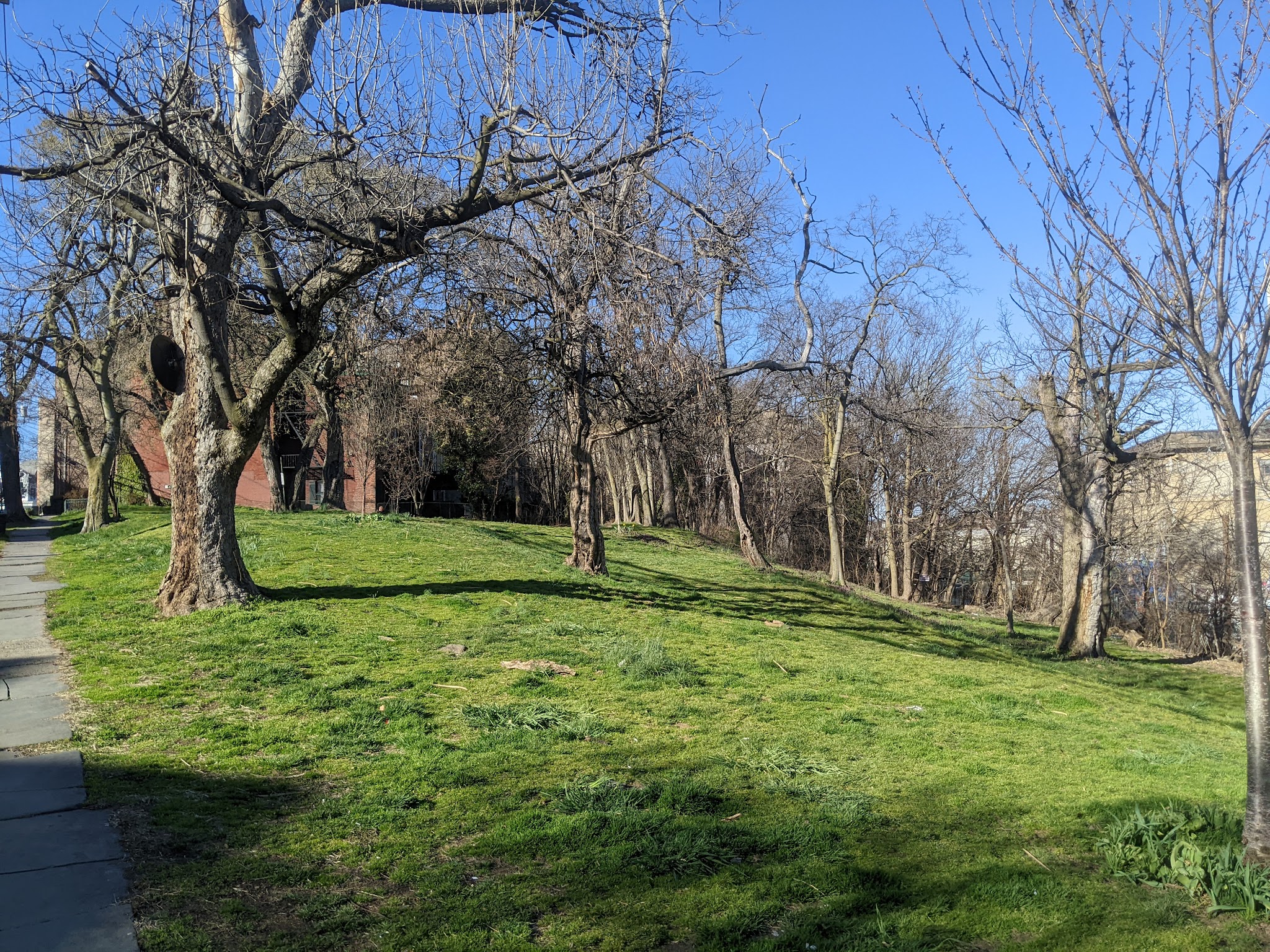 Bergen Hill Park - Jersey City, NJ
