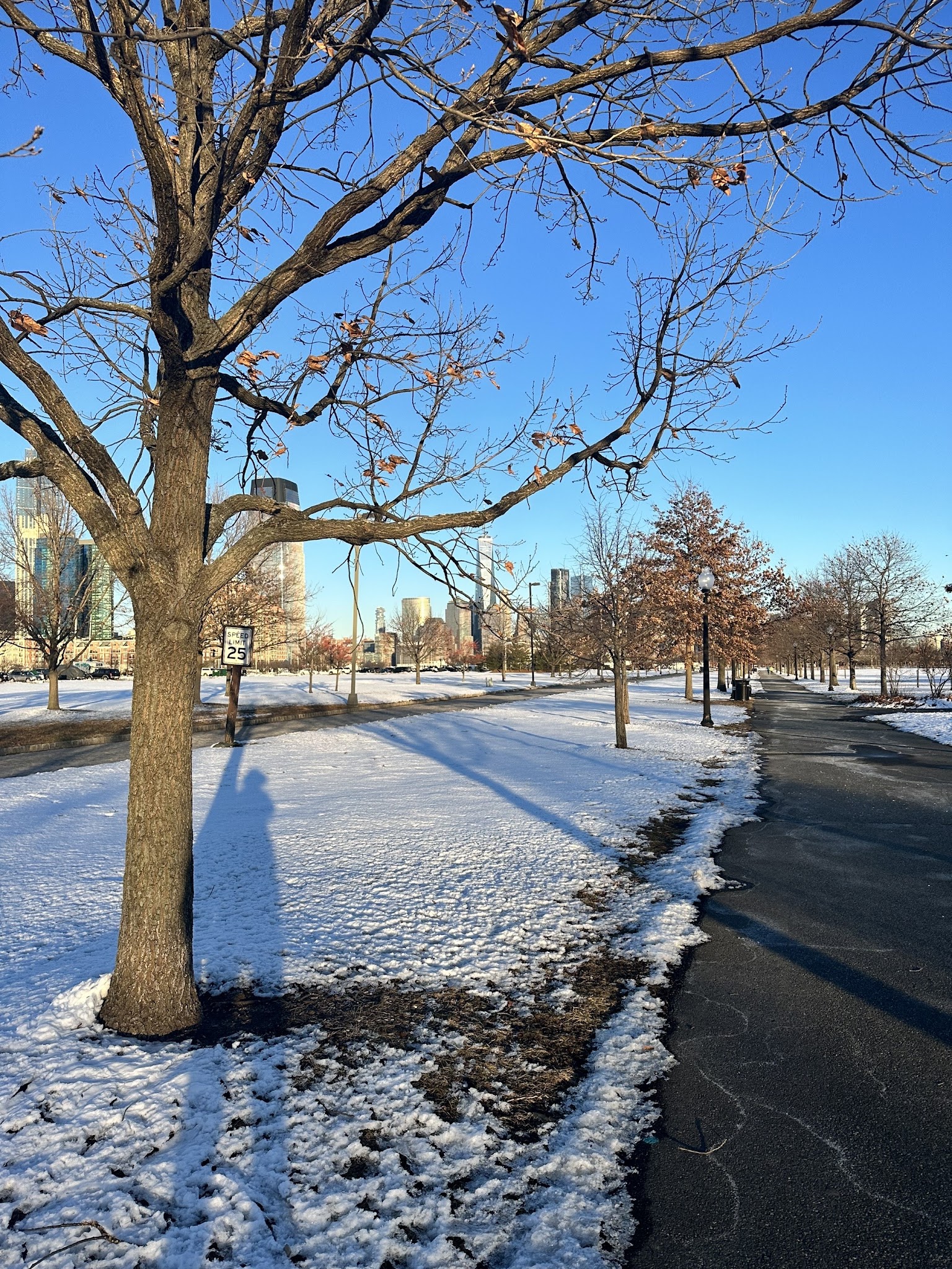 Grove of Remembrance - Jersey City, NJ
