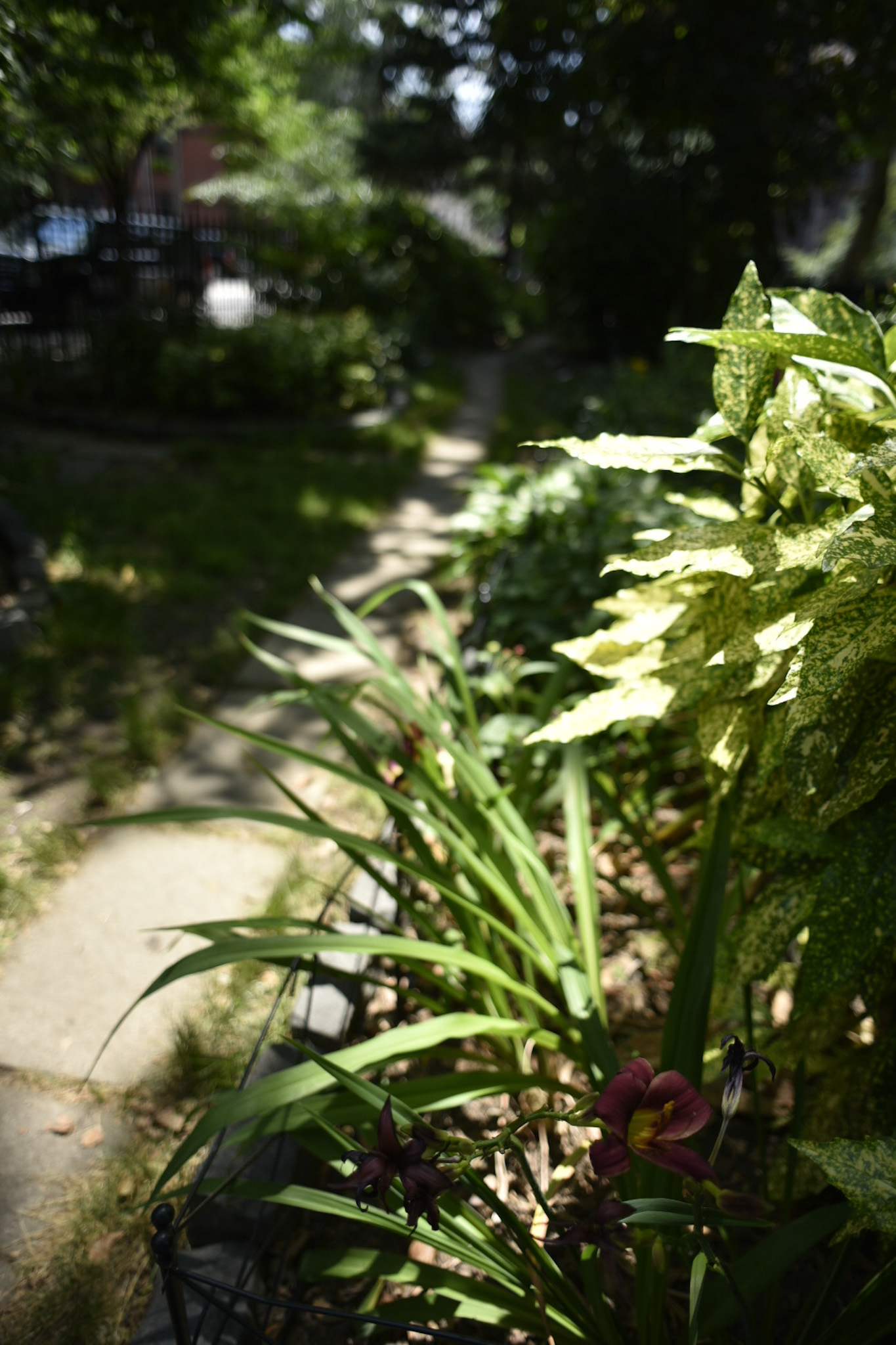 Van Vorst Park - Jersey City, NJ