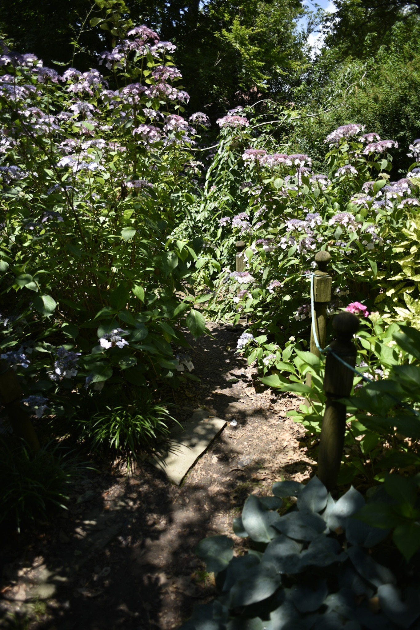 Van Vorst Park - Jersey City, NJ