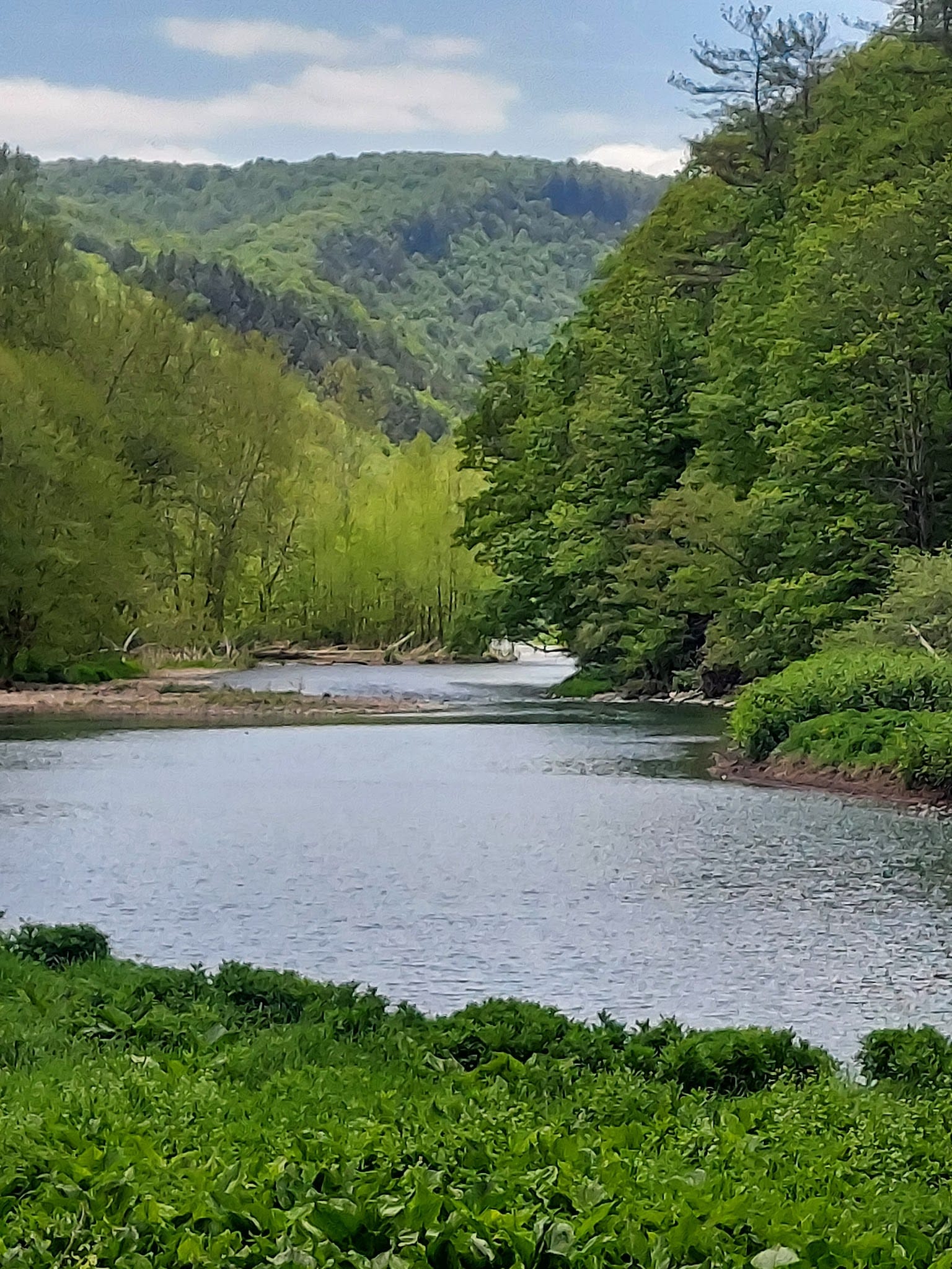 Pine Creek Valley Rail Trail - Jersey Shore, PA