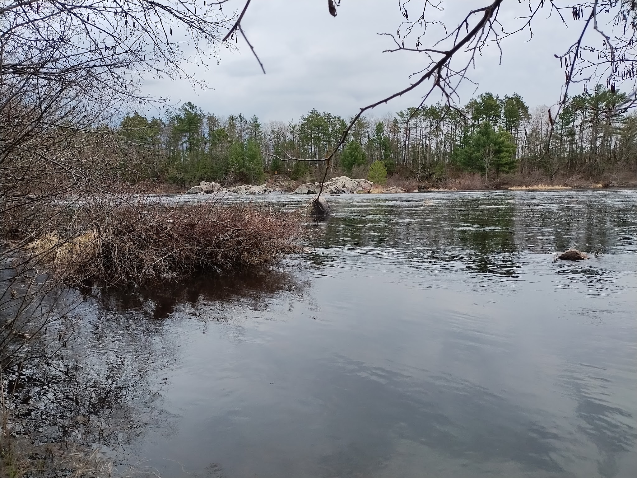 Wildflower Walking Trail - Jim Falls, WI