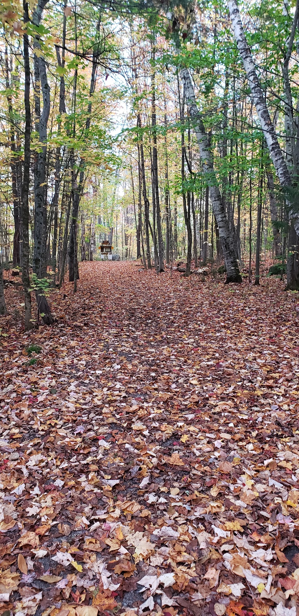 Thirteenth Lake Parking Lot - Johnsburg, NY