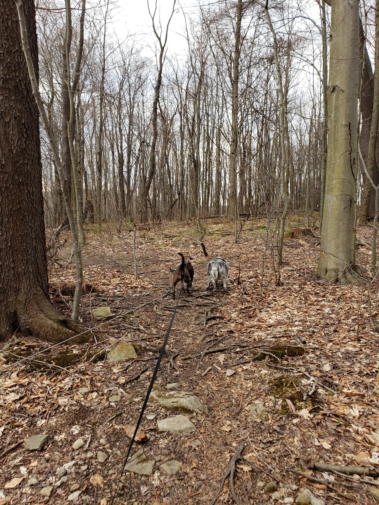 Highland Regional Park - Johnstown, PA