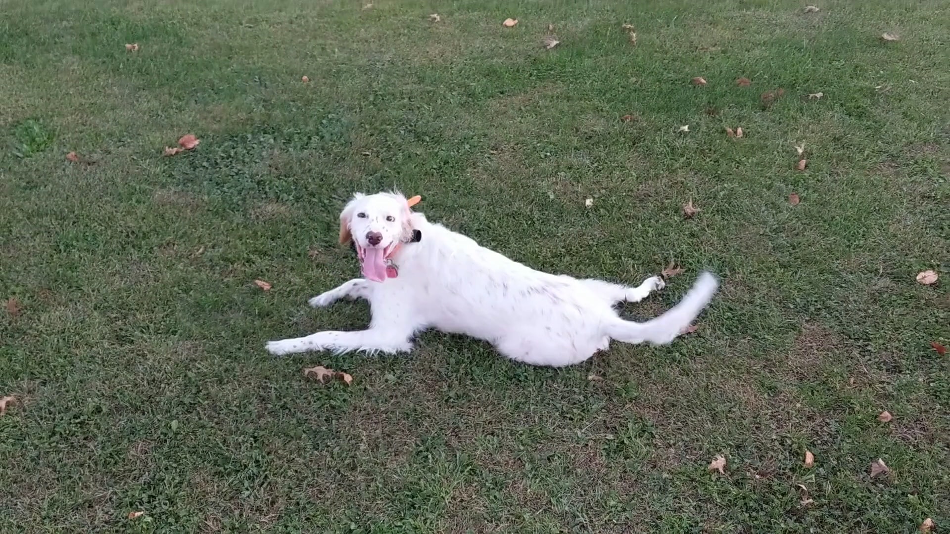 The Mound - Johnstown, PA