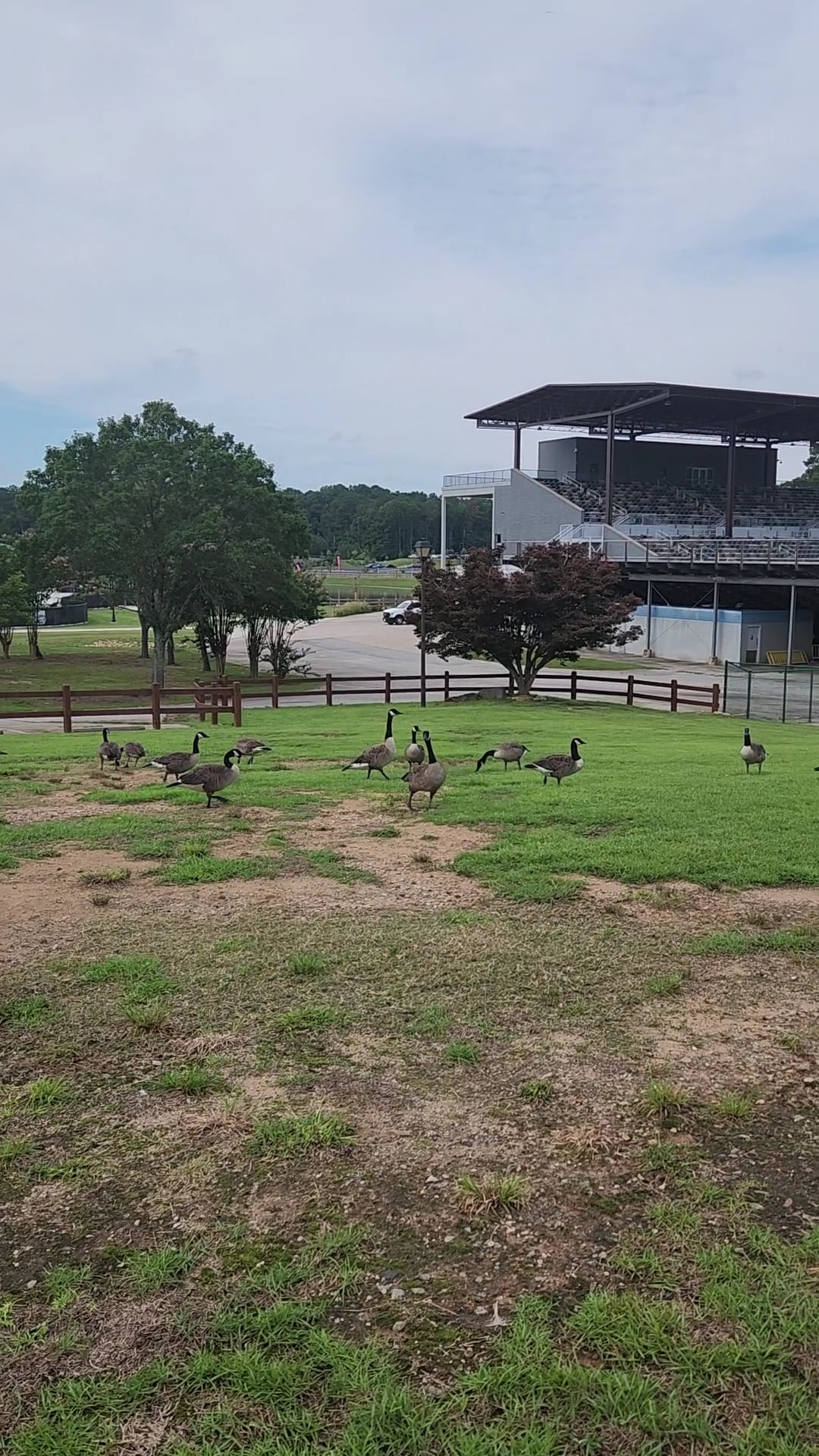 Bark Park - International Park - Jonesboro, GA