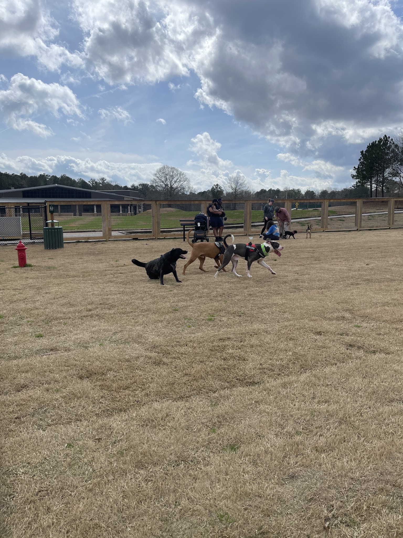 Bark Park - International Park - Jonesboro, GA