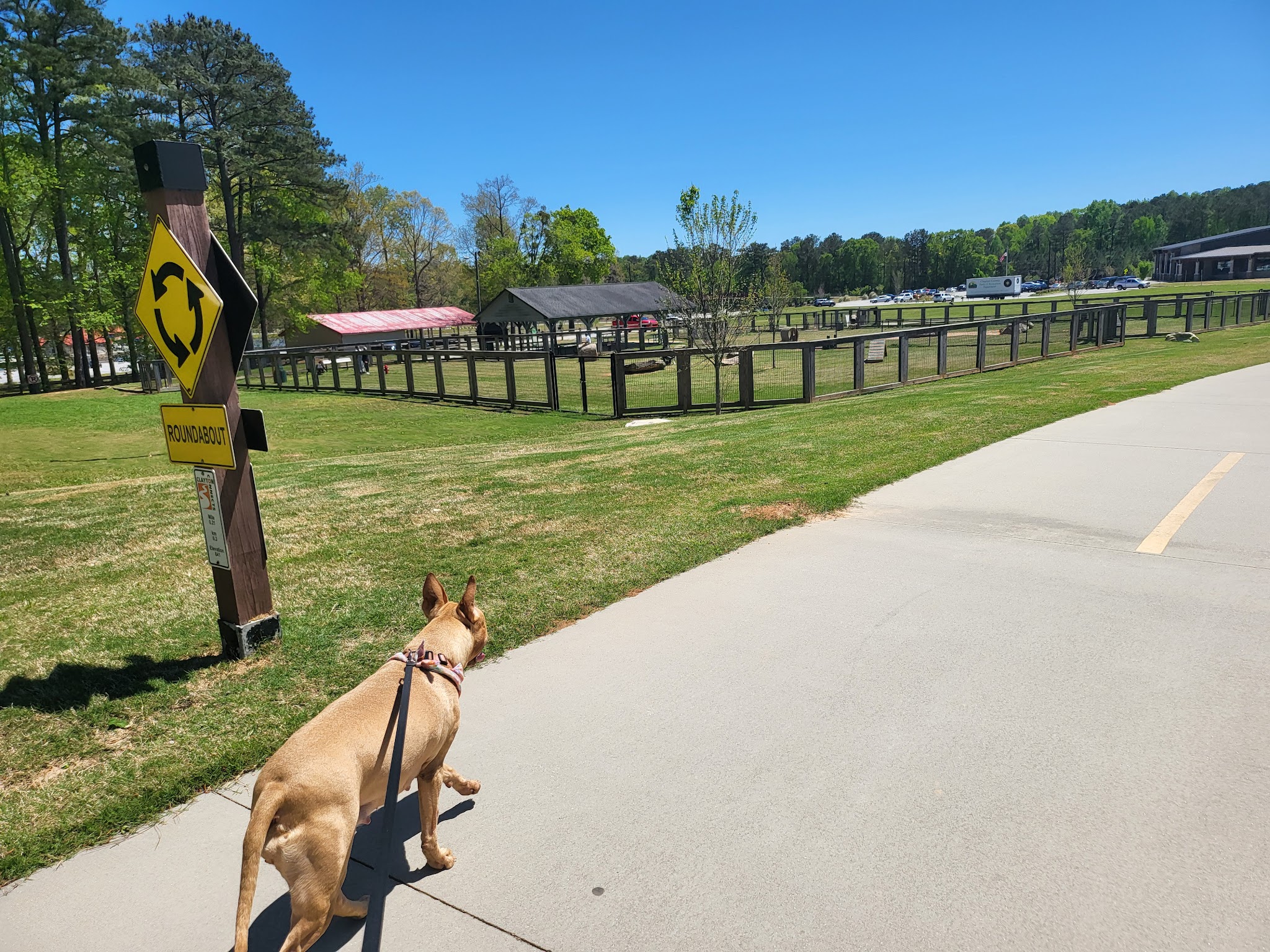 Bark Park - International Park - Jonesboro, GA