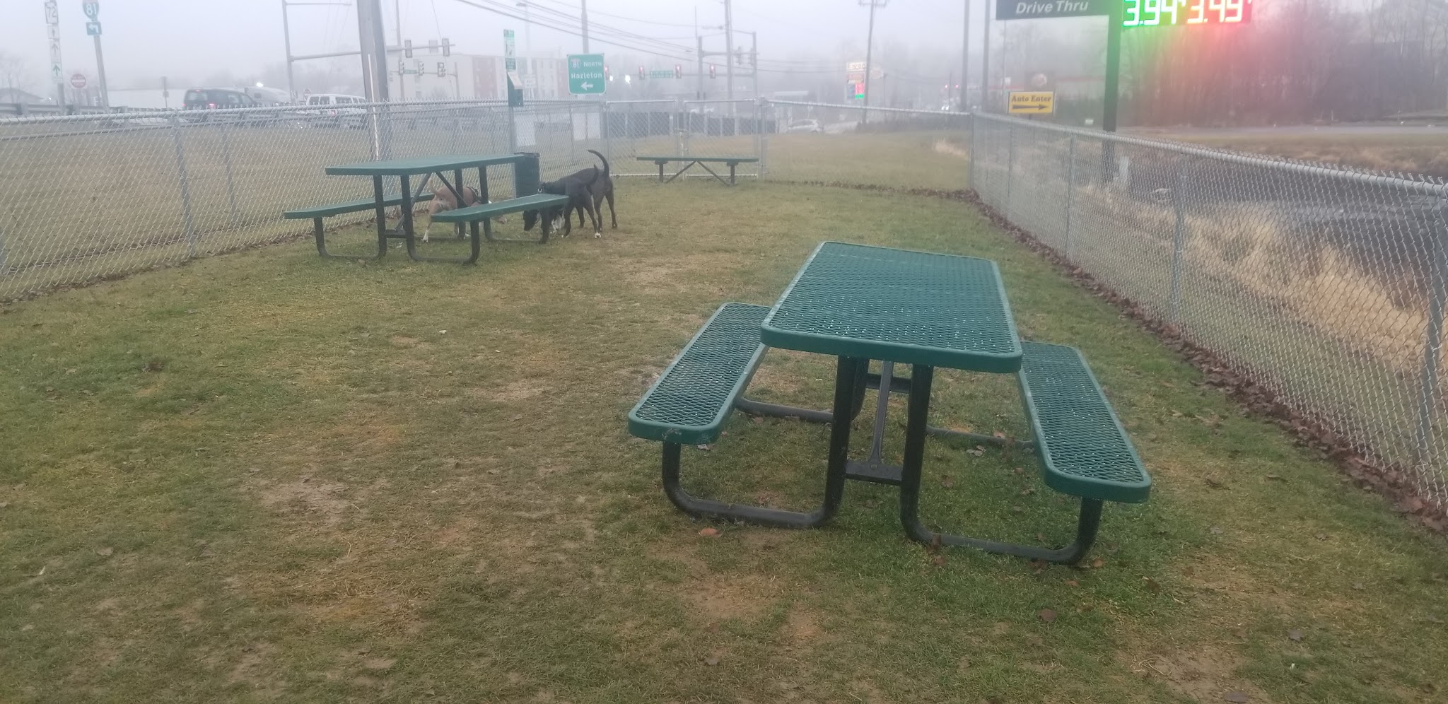 Dog Park at Love's Travel Stops - Jonestown, PA