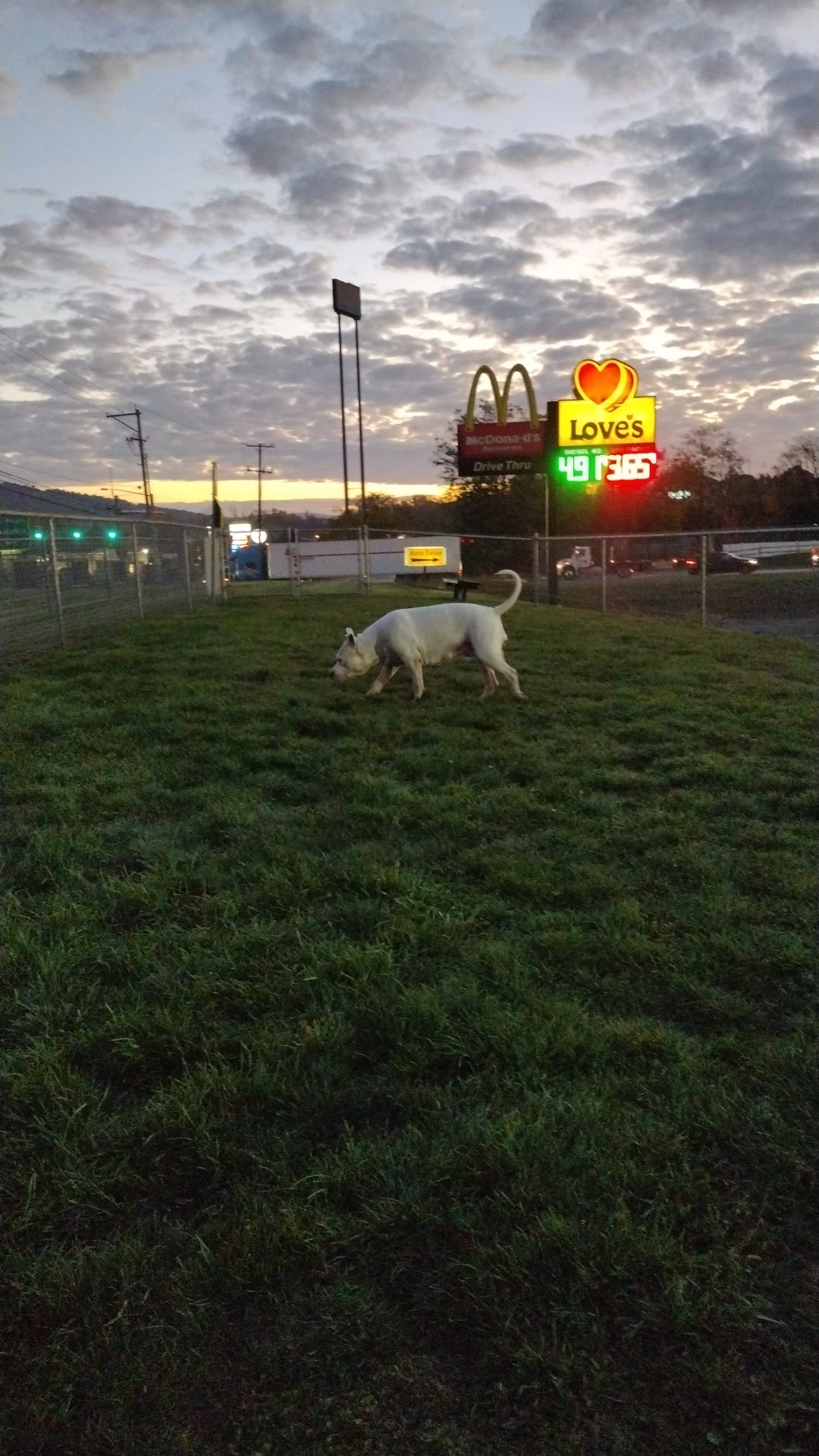 Dog Park at Love's Travel Stops - Jonestown, PA