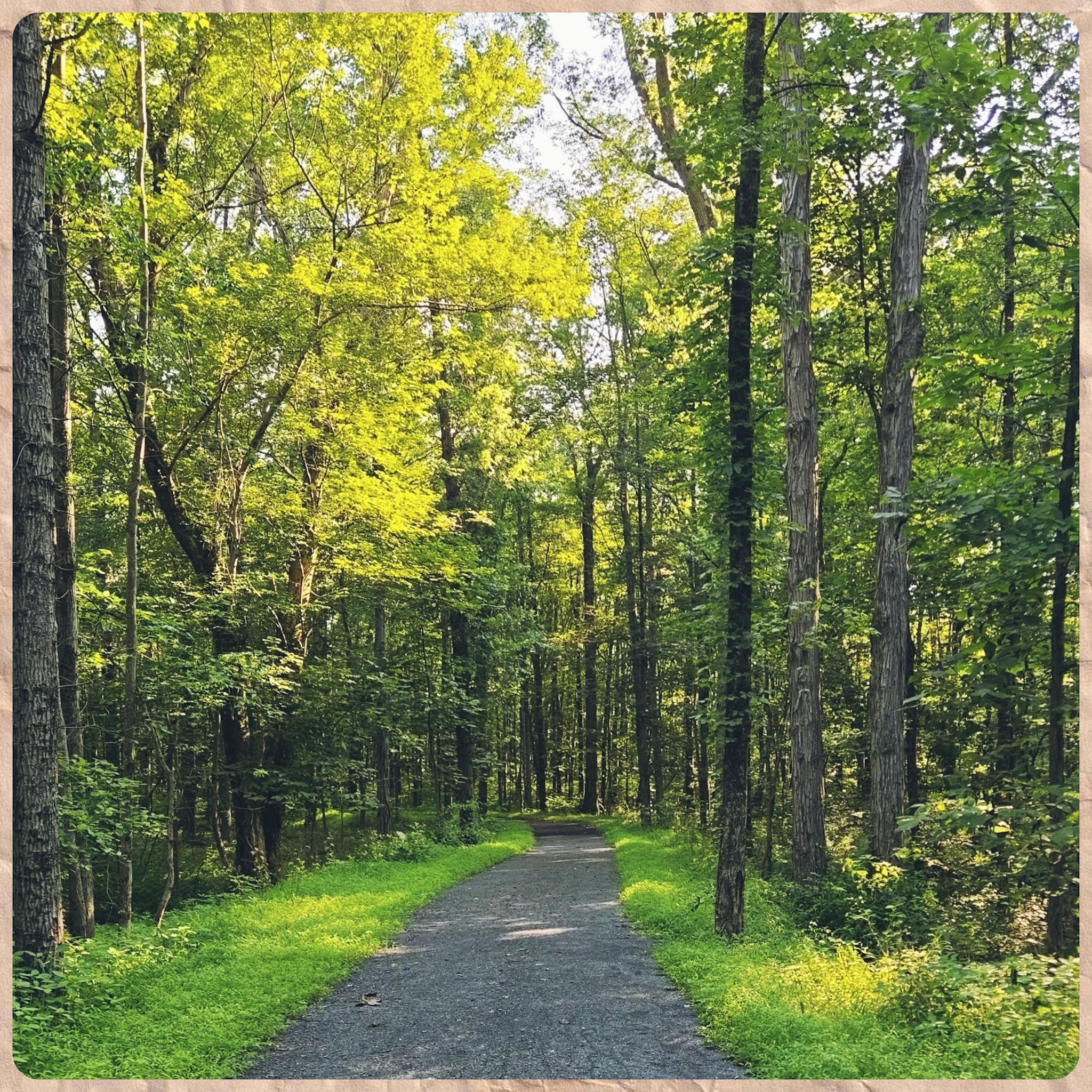 Lebanon Valley Rail Trail - Jonestown, PA