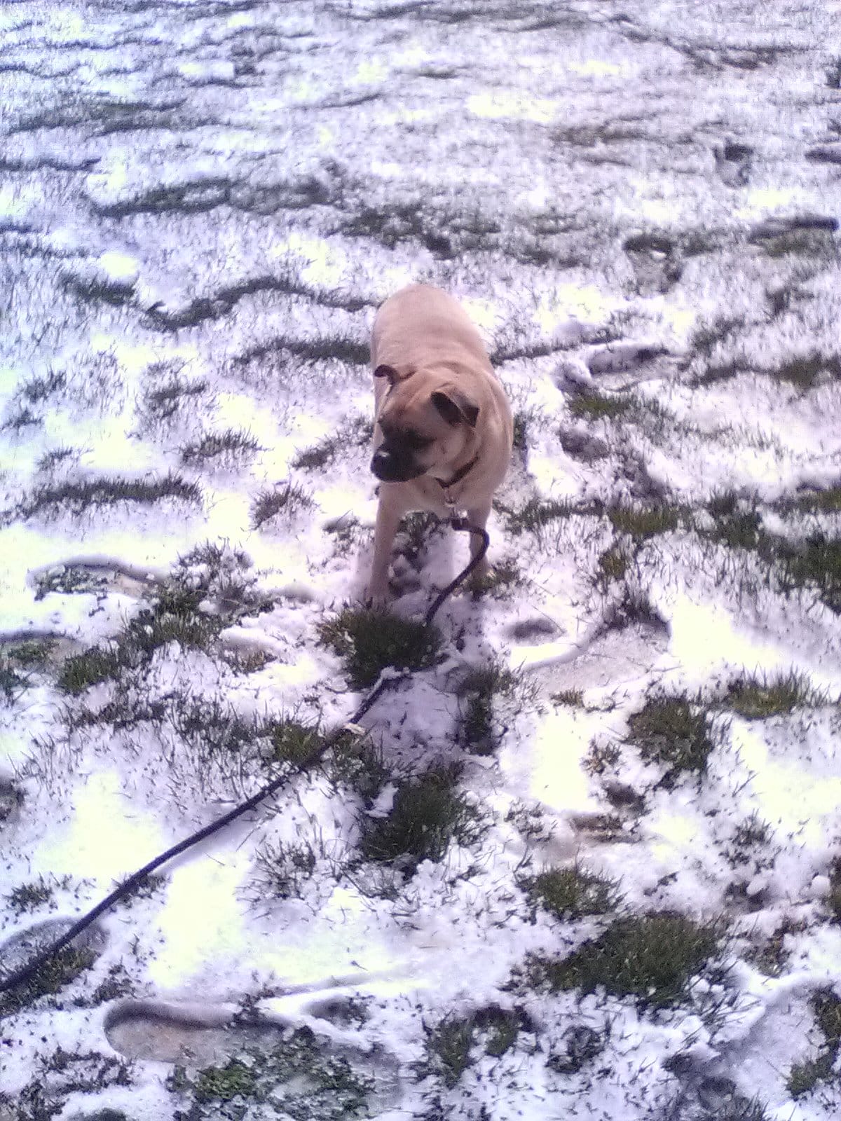 Jess Martin County Park - Julian, CA