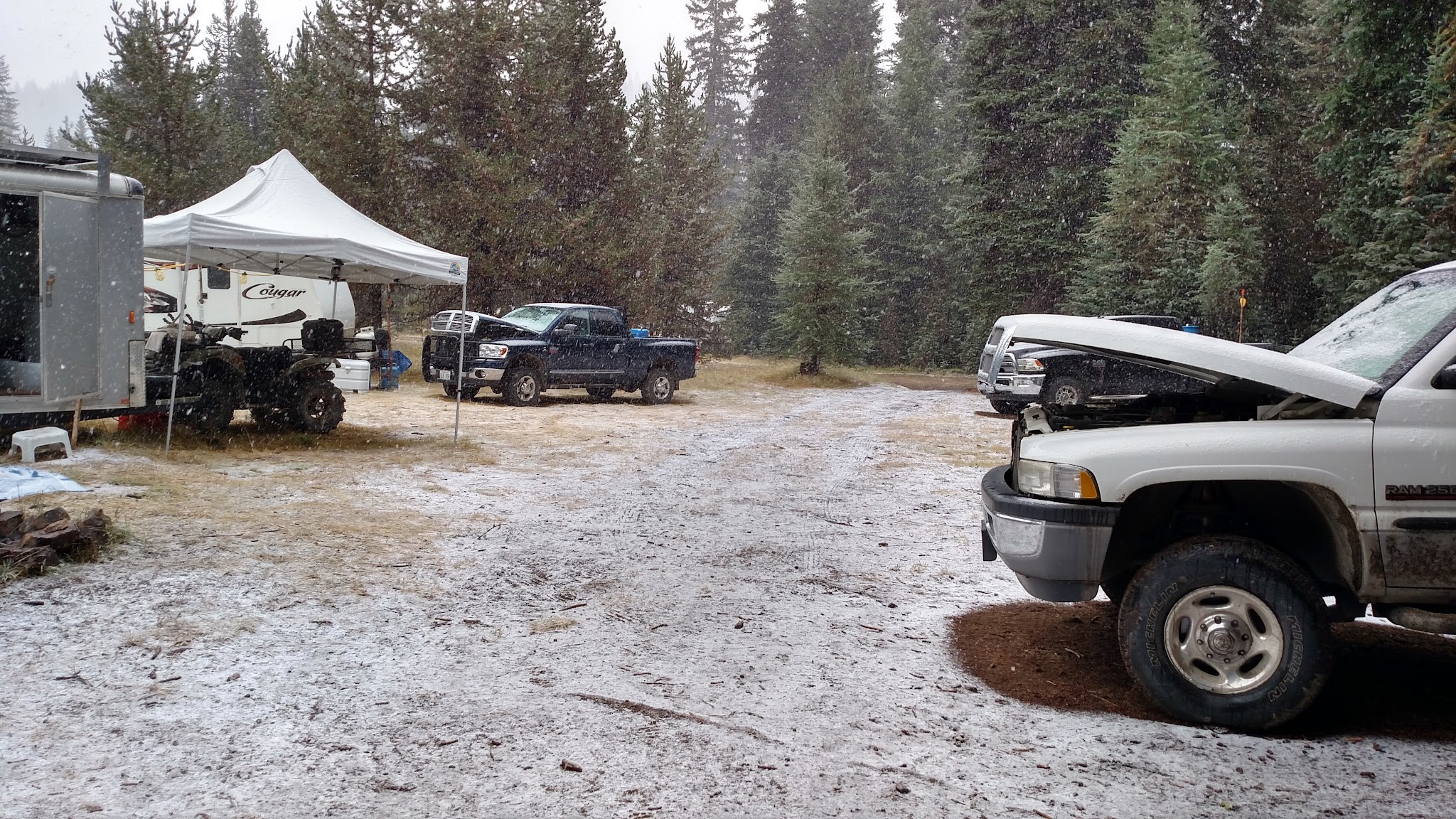 Junction City Park - Junction City, CA